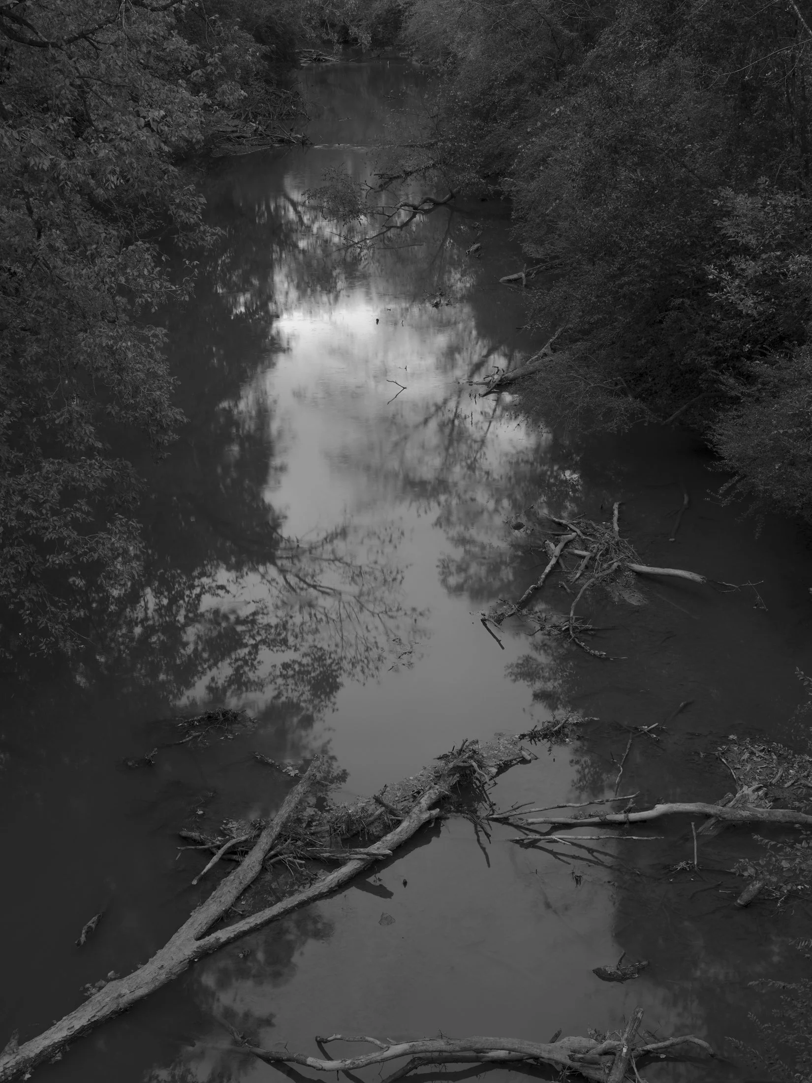 Untitled #1, University of Georgia, Athens, GA, 2025