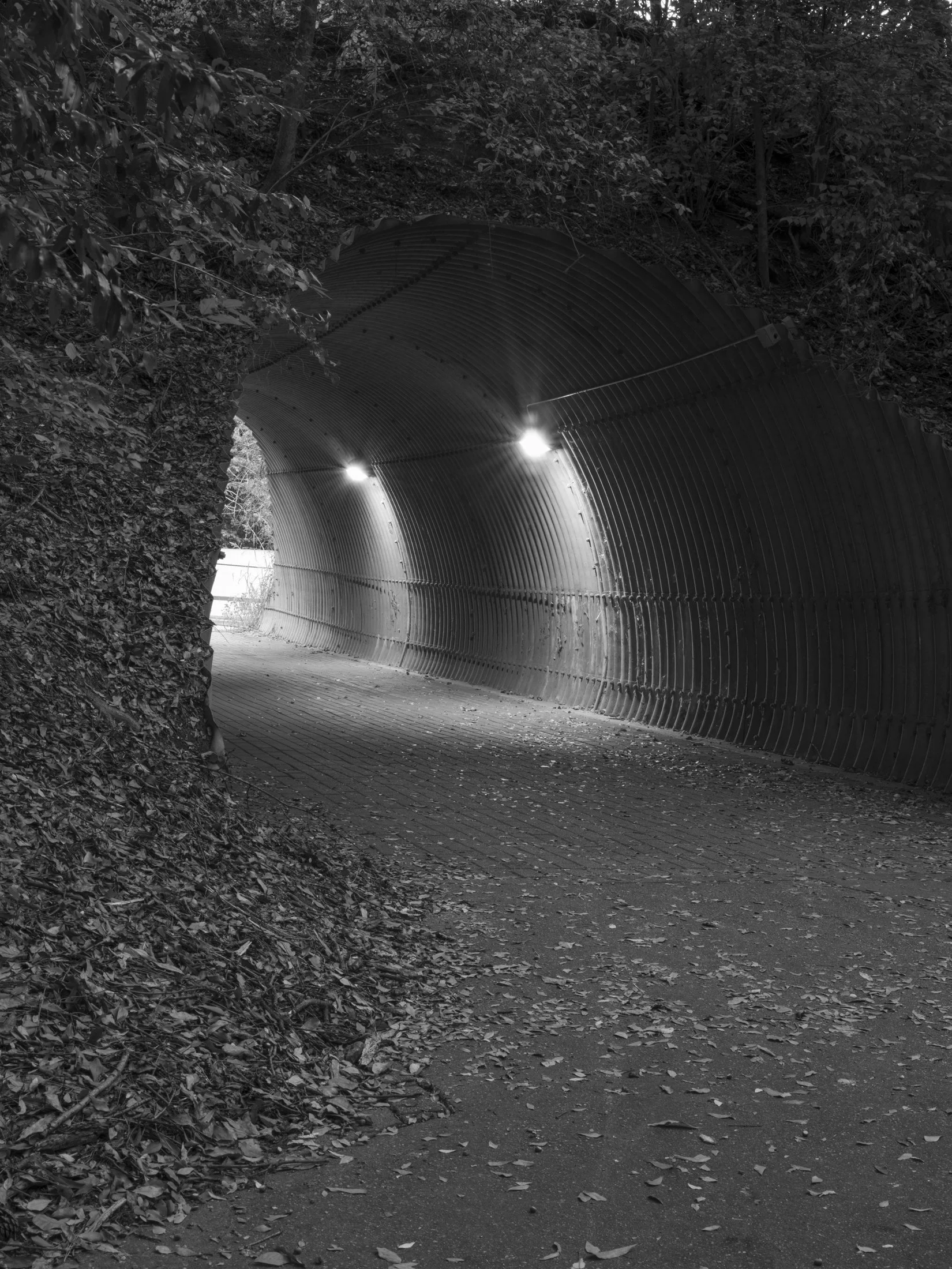 Untitled #3, University of Georgia, Athens, GA, 2025