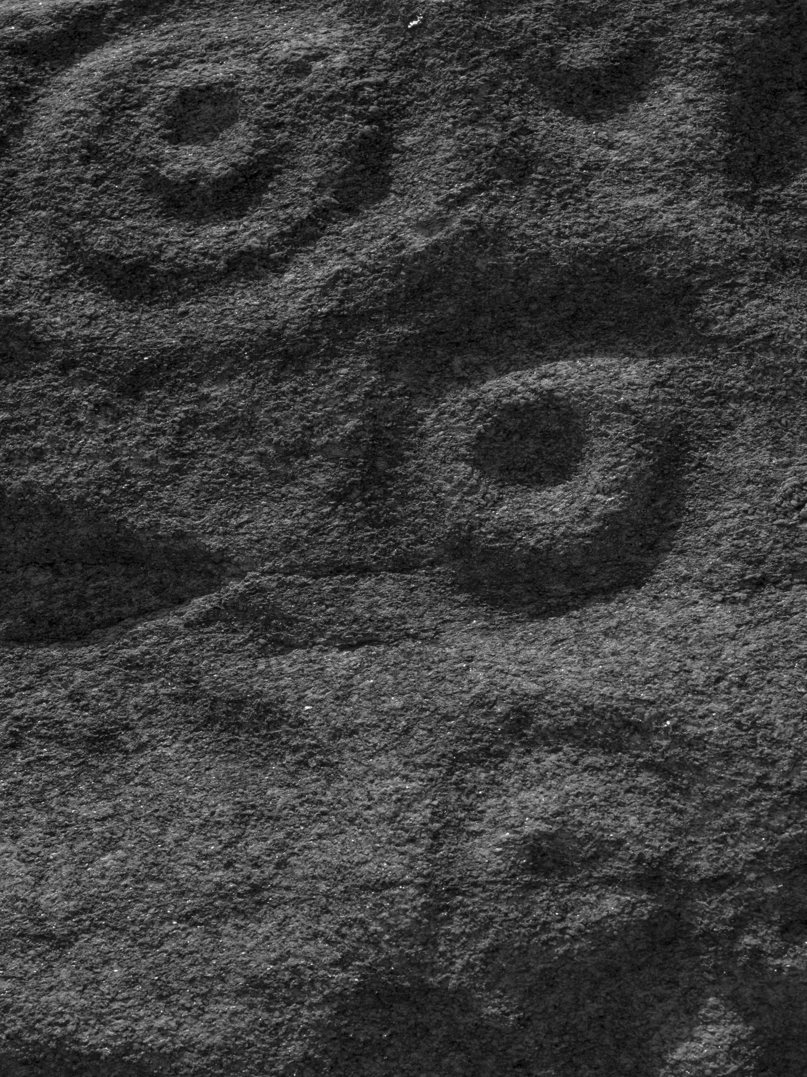 Untitled #12, University of Georgia, Athens, GA, 2025
