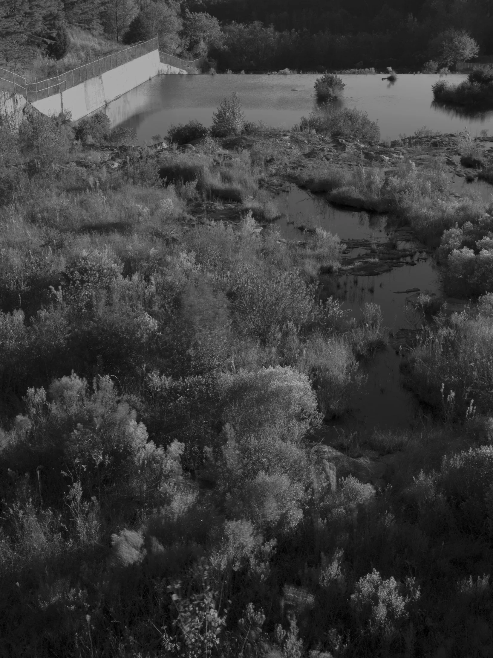 Untitled #16, Bear Creek Reservoir, Bogart, GA, 2025