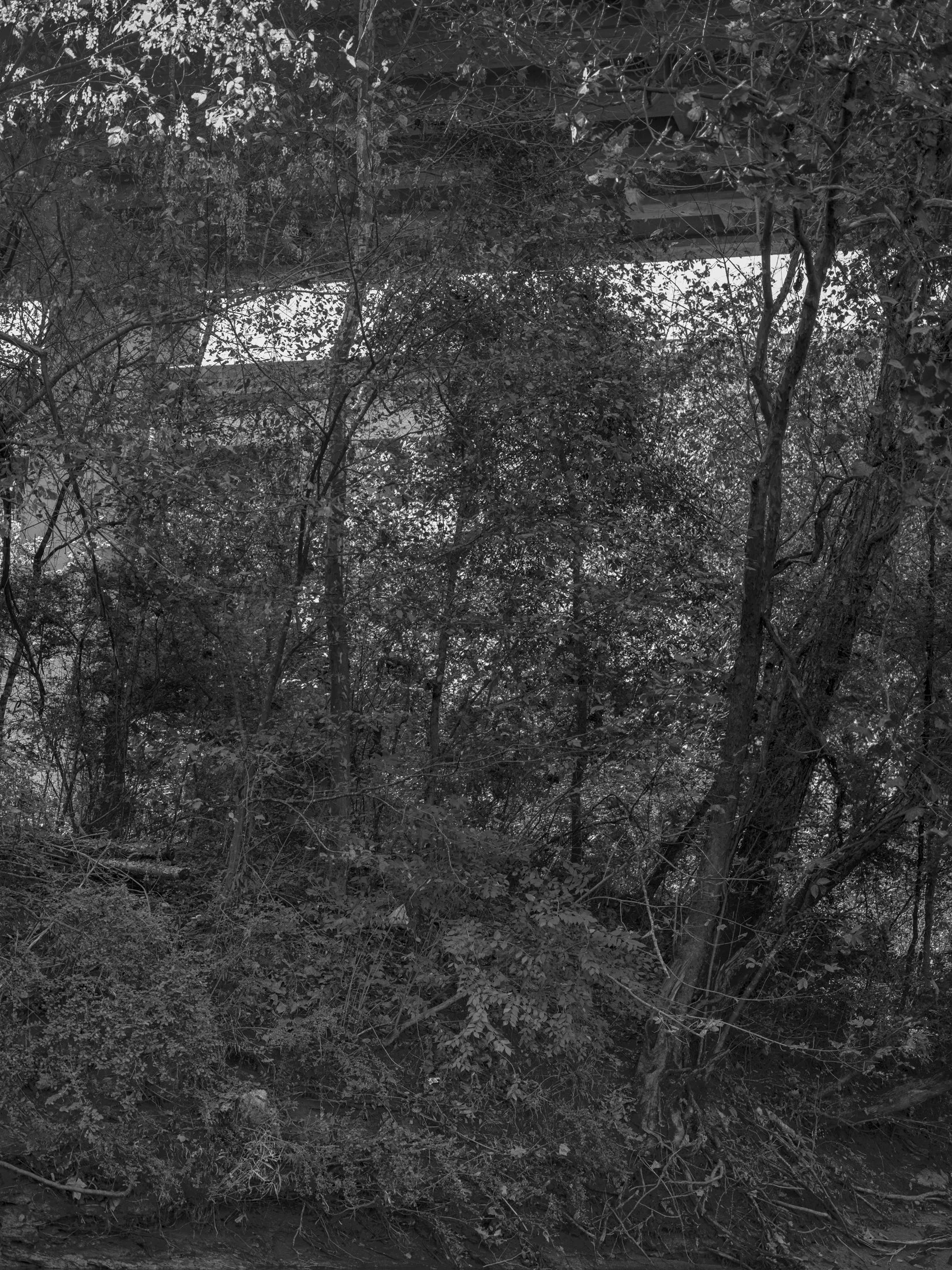 Untitled #17, Middle Oconee River, Athens, GA, 2025