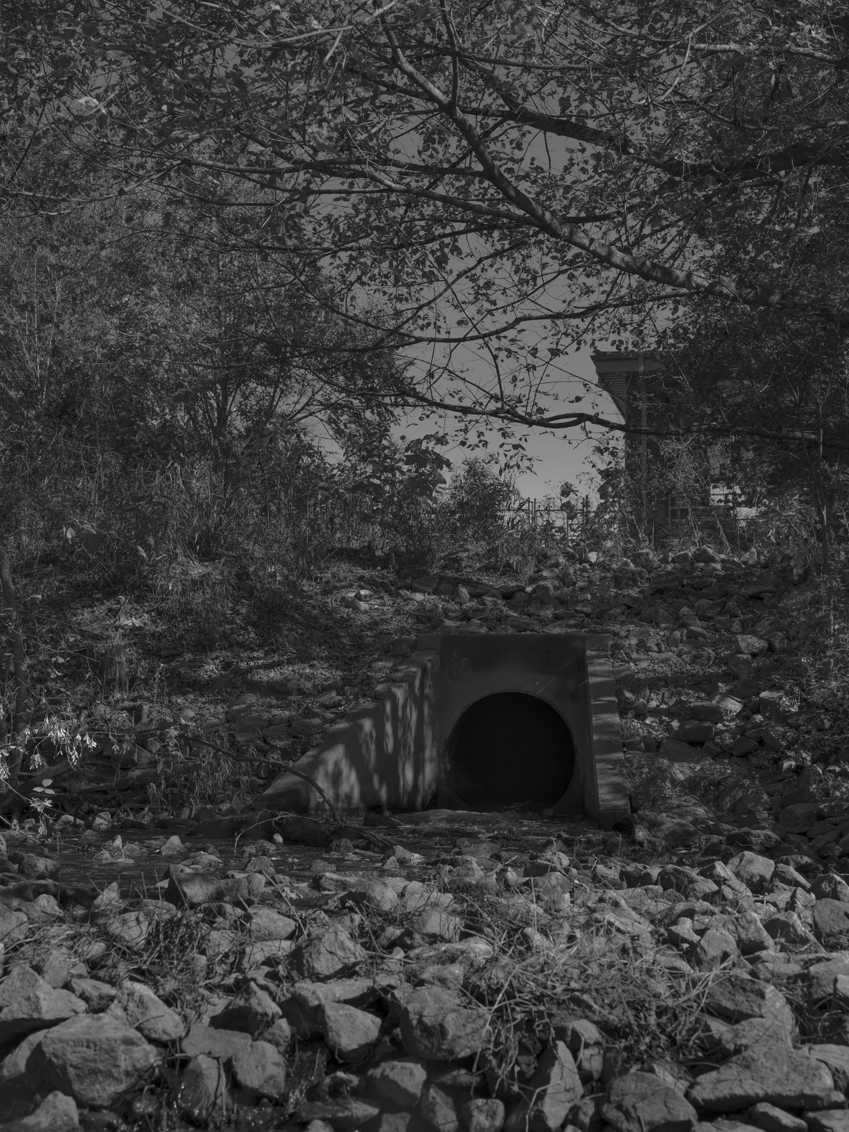 Untitled #31, Middle Oconee River, Athens, GA, 2025