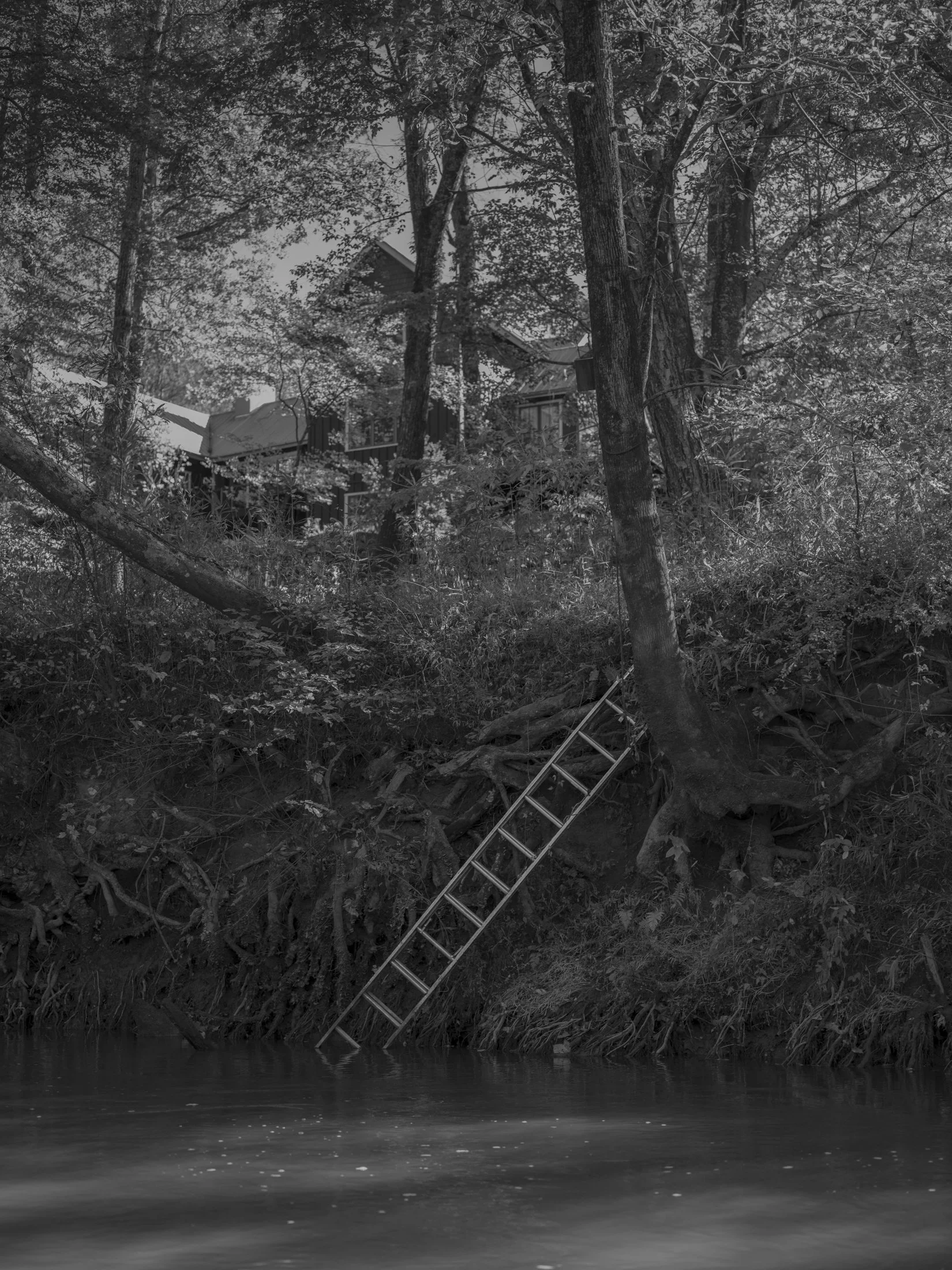 Untitled #20, Middle Oconee River, Athens, GA, 2025