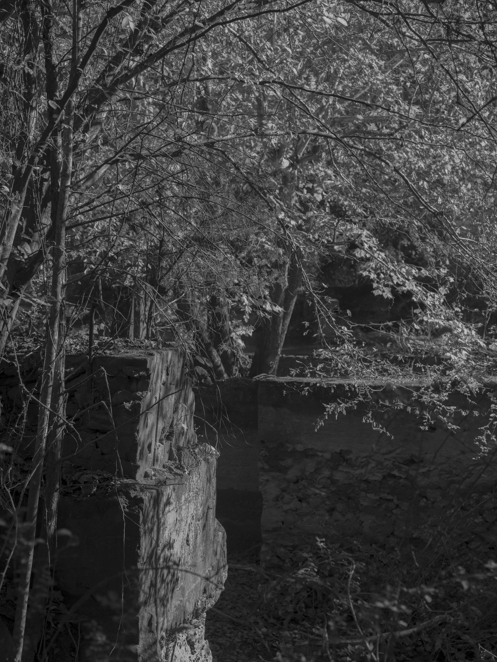 Untitled #21, Middle Oconee River, Athens, GA, 2025