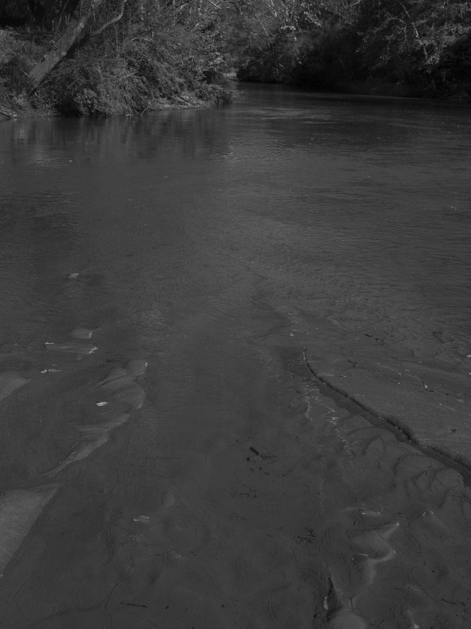 Untitled #24, Convergence of Middle Oconee River and North Oconee River, Athens, GA, 2025