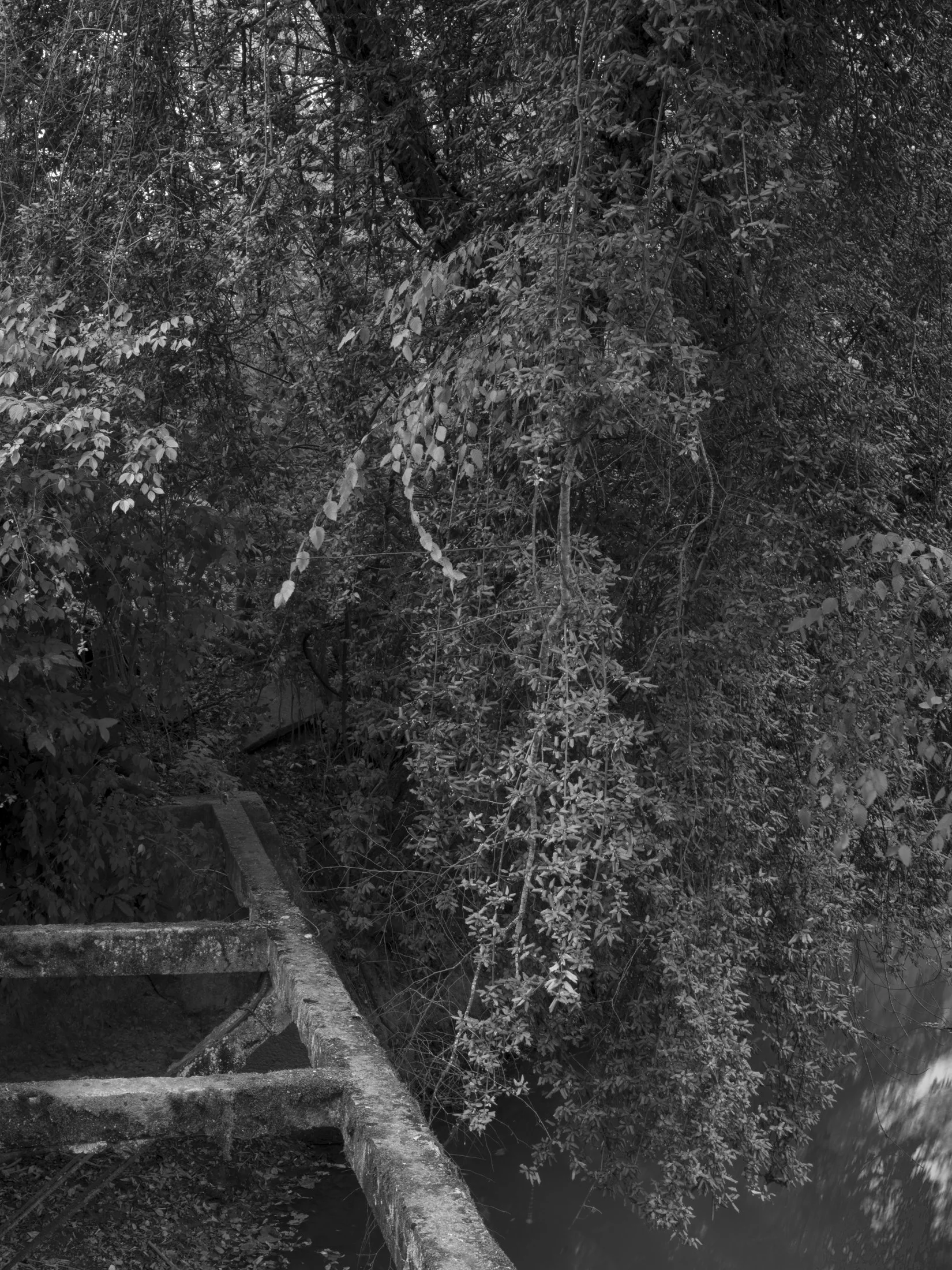 Untitled #8, University of Georgia, Athens, GA, 2025