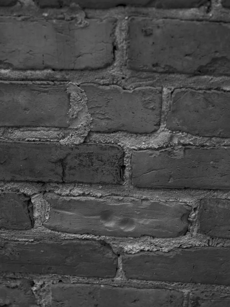 Black-and-white close-up of a weathered brick wall with mortar joints.