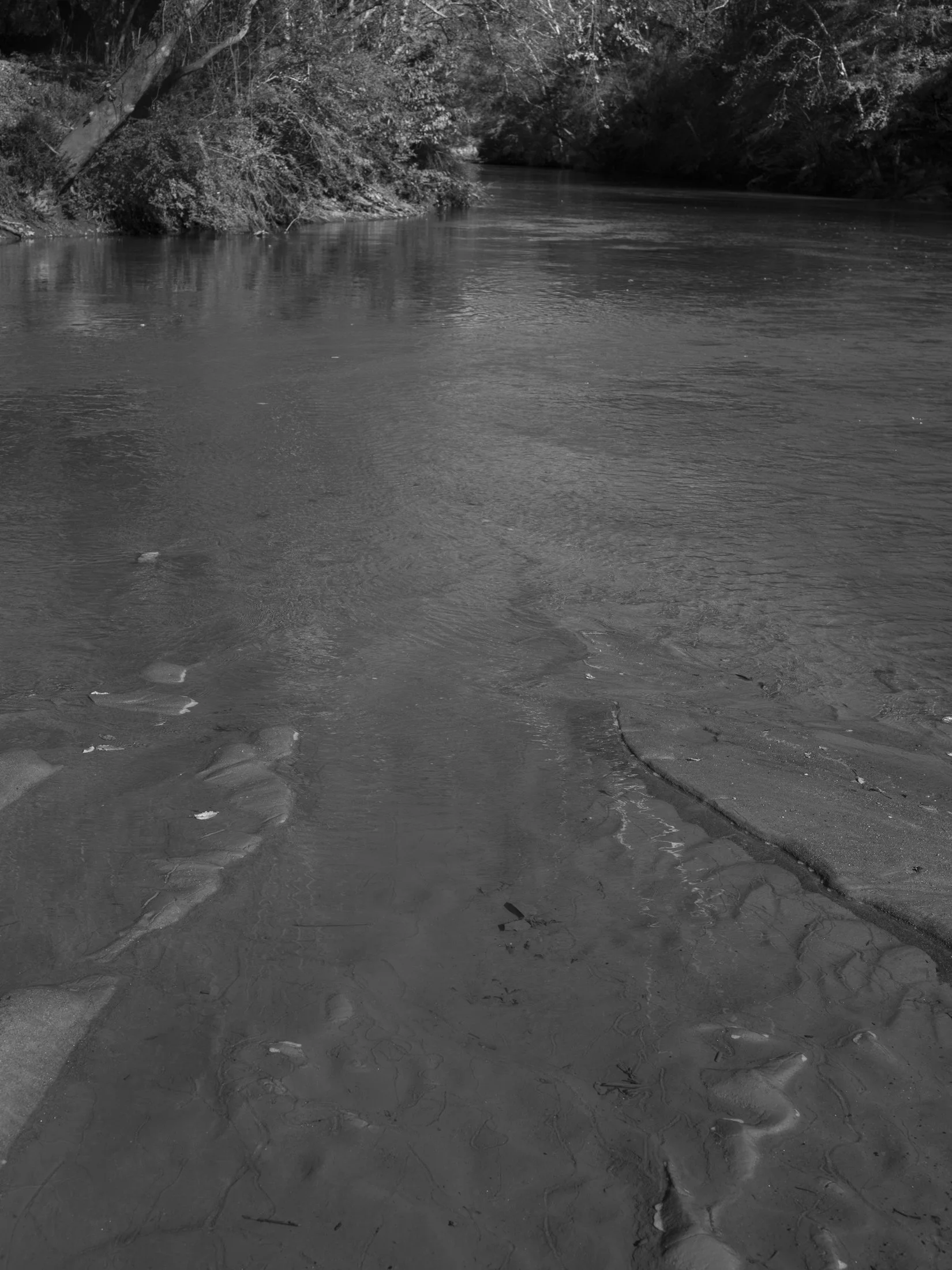 Untitled #24, Convergence of Middle Oconee River and North Oconee River, Athens, GA, 2025
