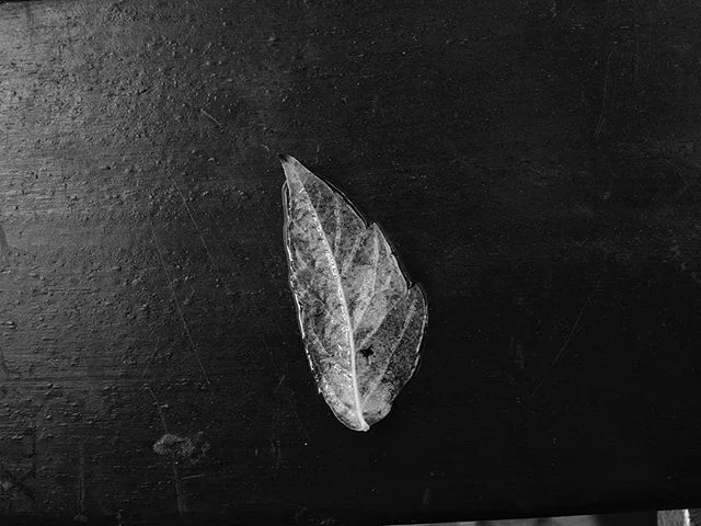 #photography #inside #emotions #melancholy #expressionism #art #artist #photographer