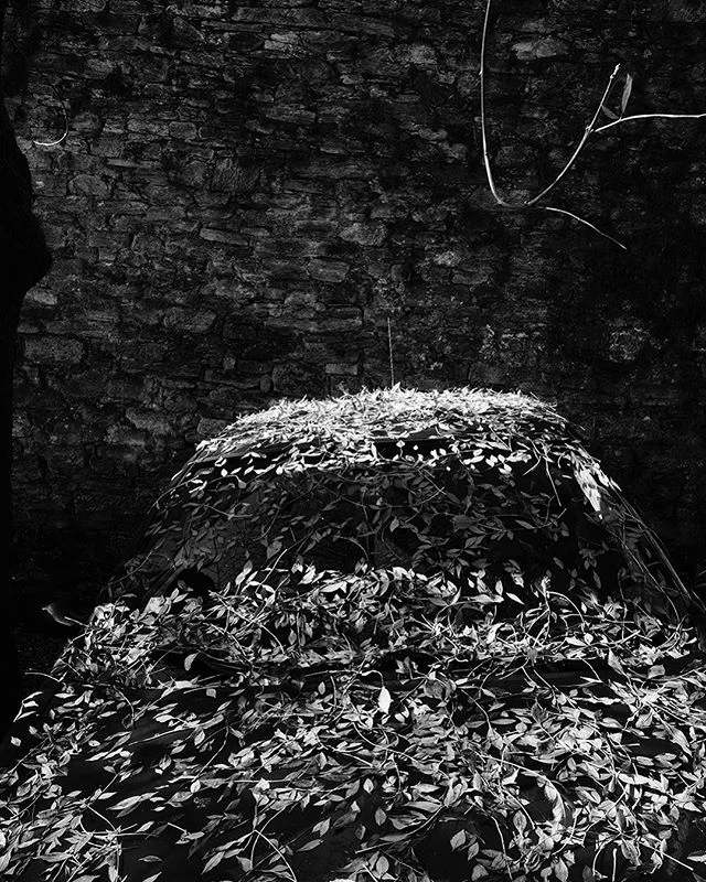 #autumn #poetry #emotional #photography #inside #art #monochrome #artist#expressionism