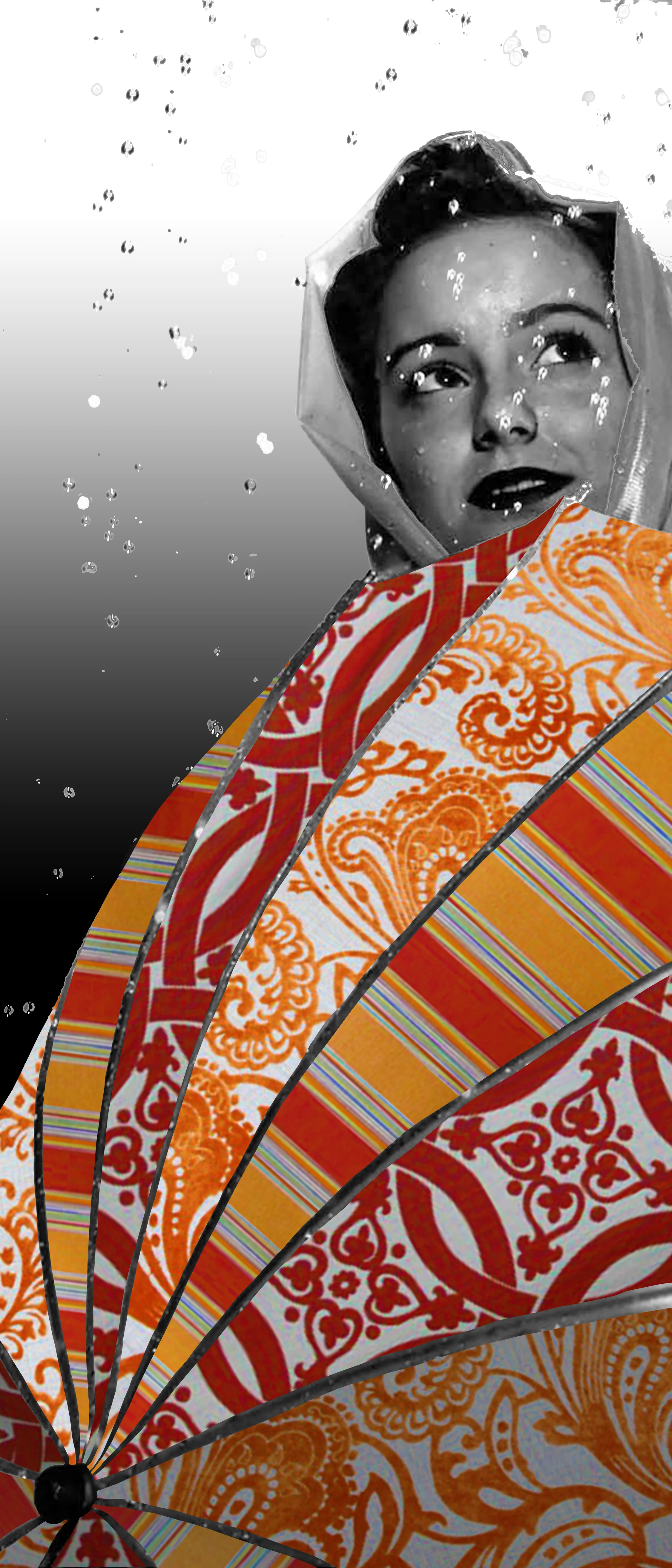 ZARIN FABRICS, NYC