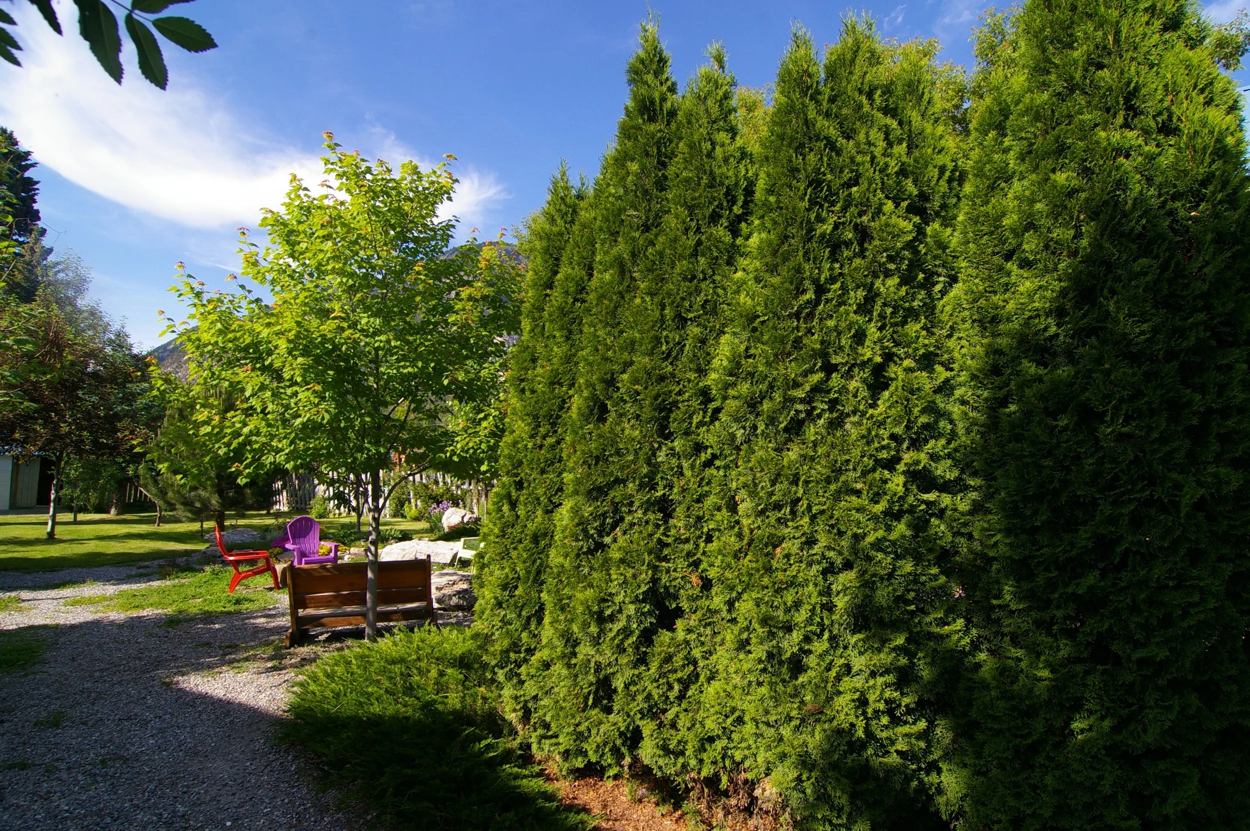 Outdoor (living wall).jpg