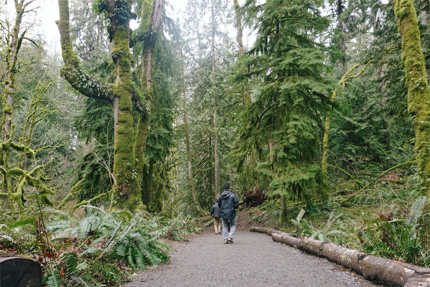 Caleb on the hike down to the banks of Snoqualmie Falls.