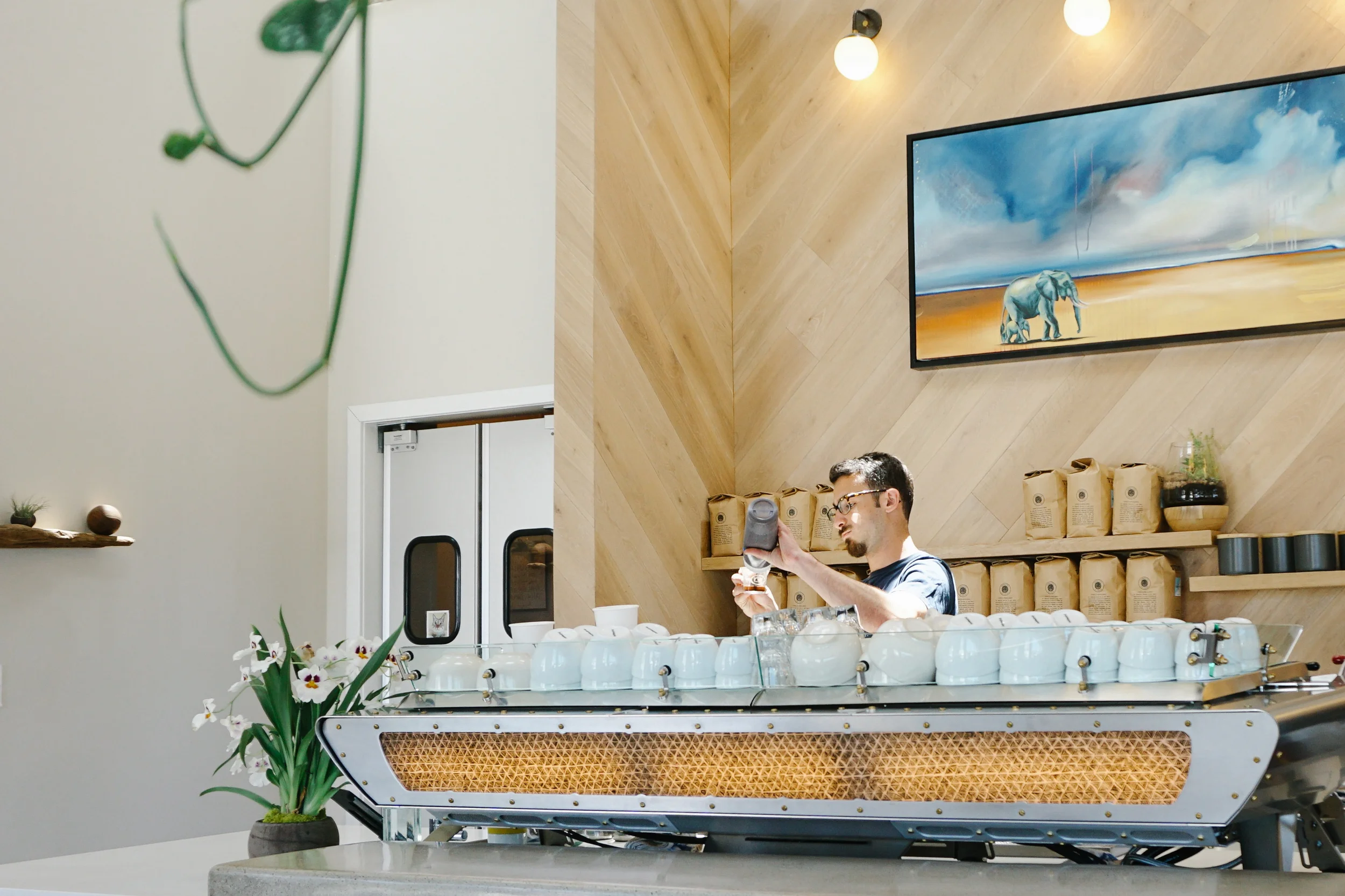 Verve Coffee , Westside location. 