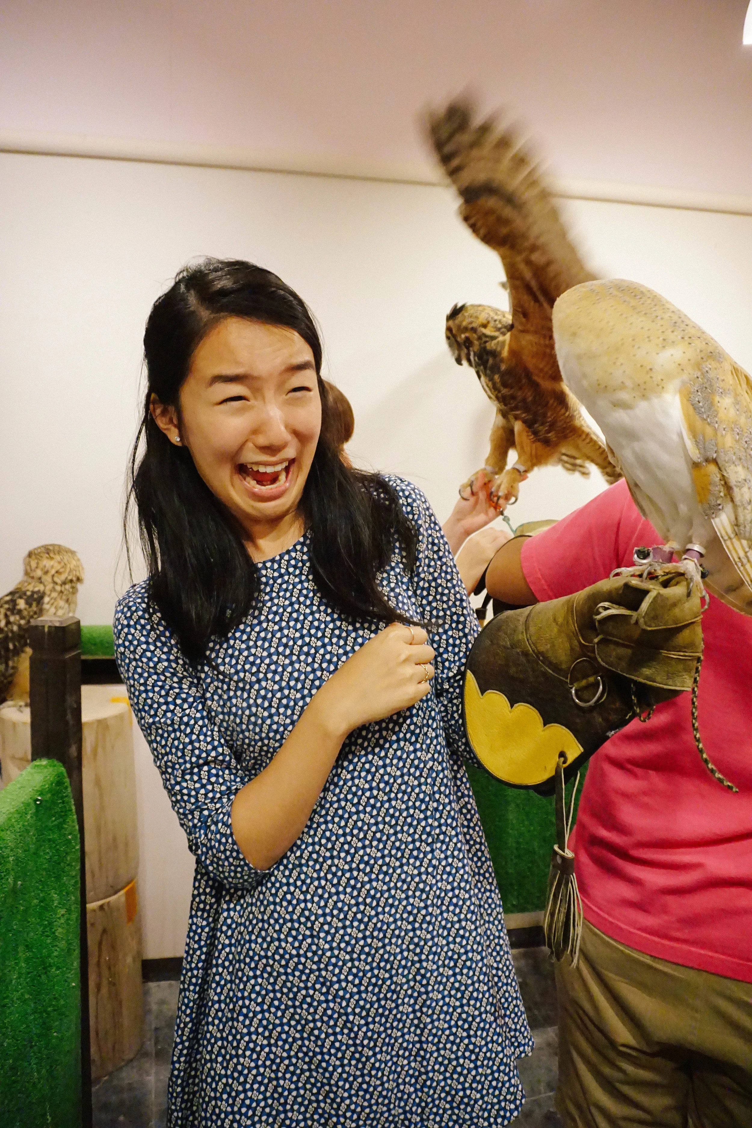Had to add in this hilarious (and accurate) shot of me in the owl playspace. 