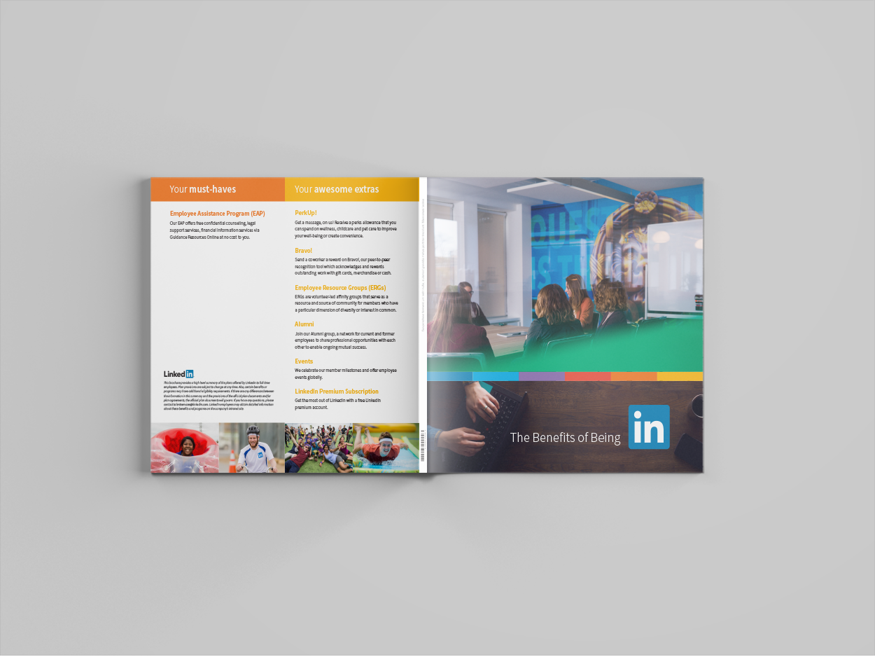 Mockup 2: Bi-fold booklet with accompanying insert.