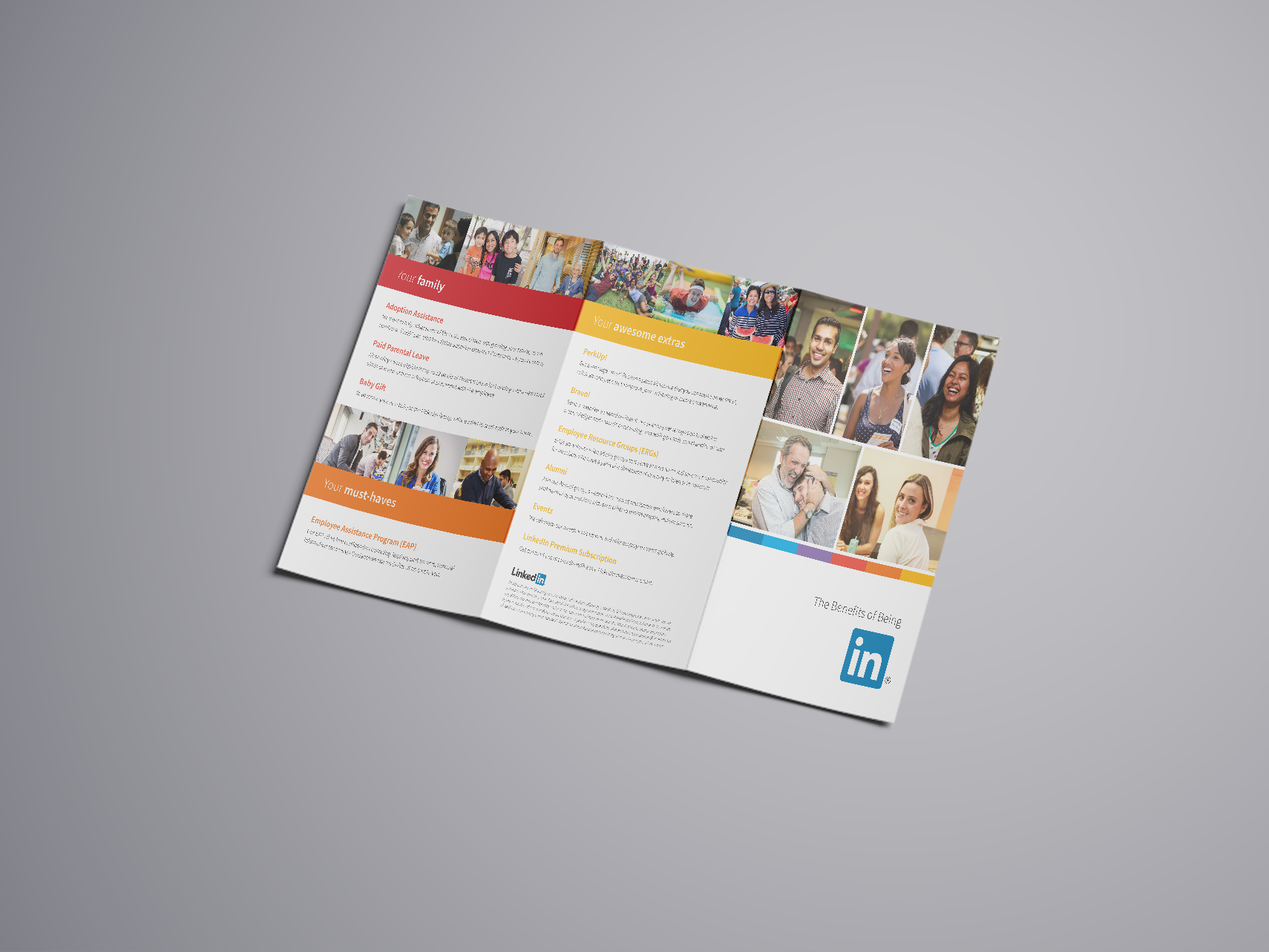 Mockup 1: Tri-fold brochure with accompanying insert.