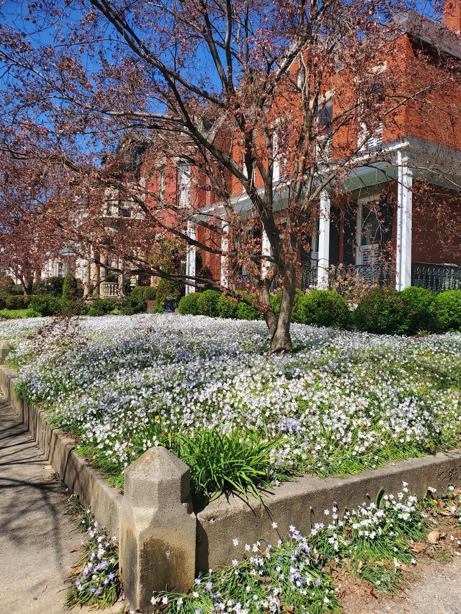 &quot;What's your perfect date?&quot;

&quot;Probably April 25th because it's not too hot, not too cold. All you need is a light jacket!&quot;

Happy Spring from @johannasdesign - We hope you are enjoying the beautiful Richmond houses and flowers as 