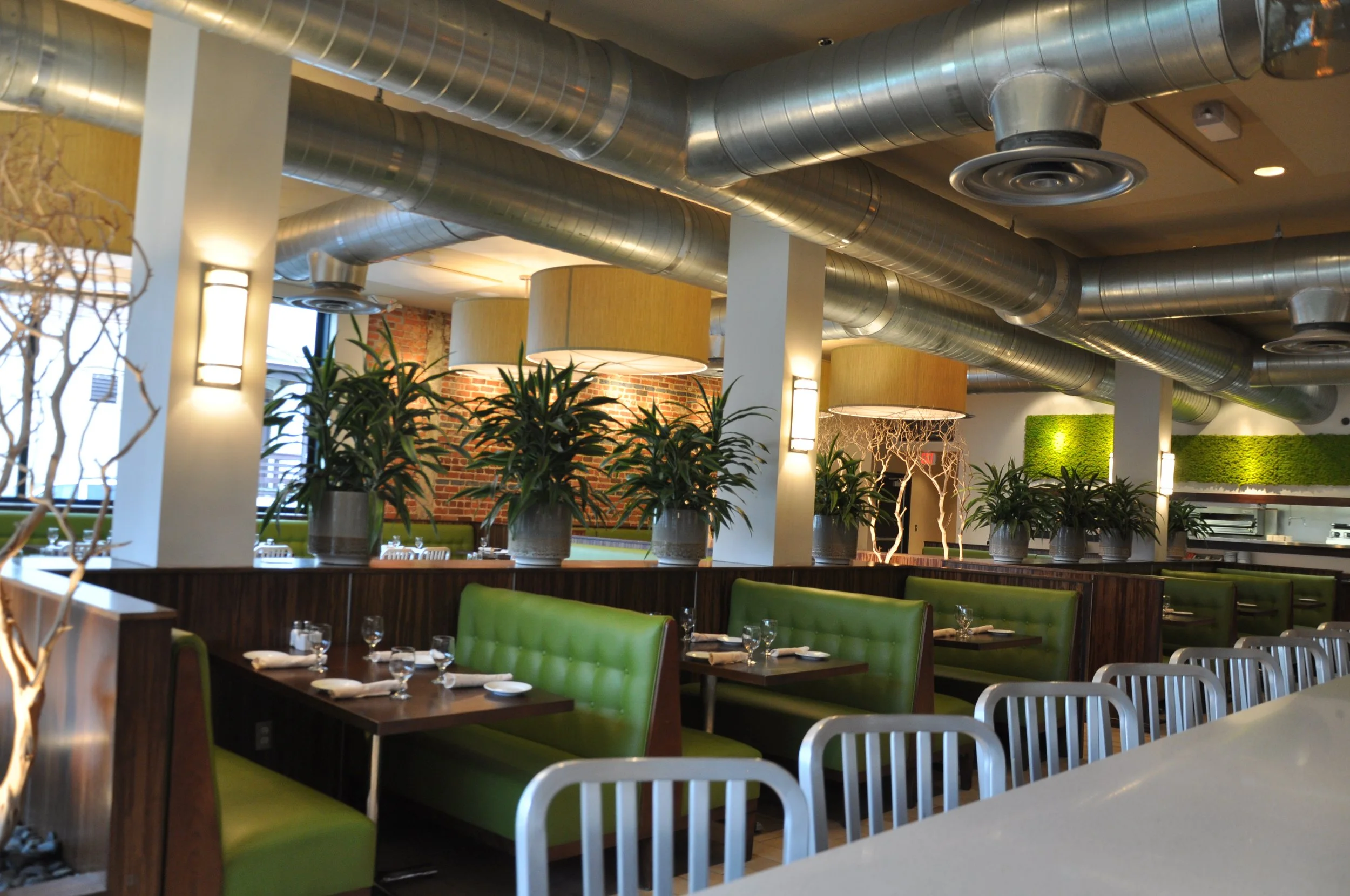 DSC_0756.JPG