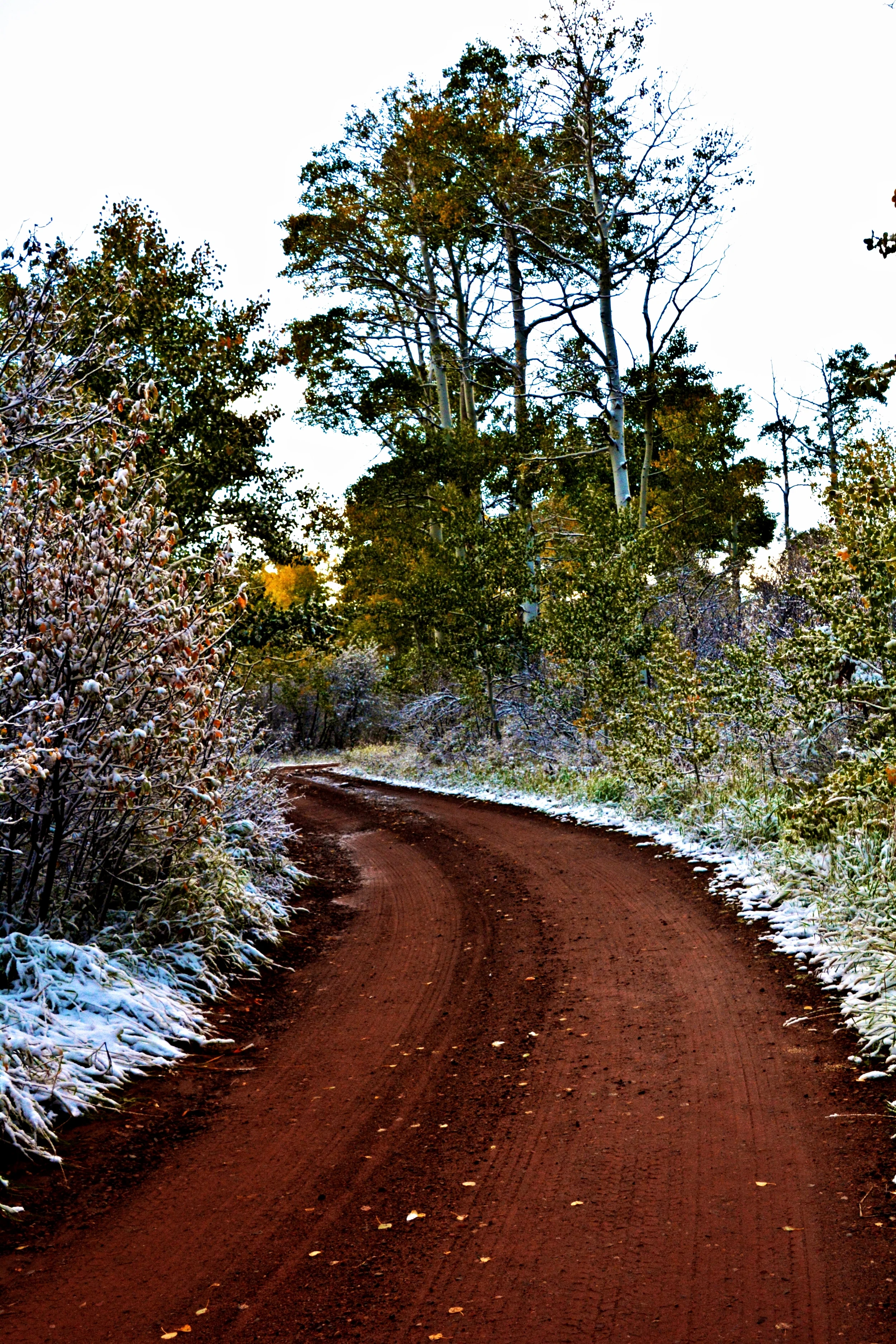 DSC_0748.jpg