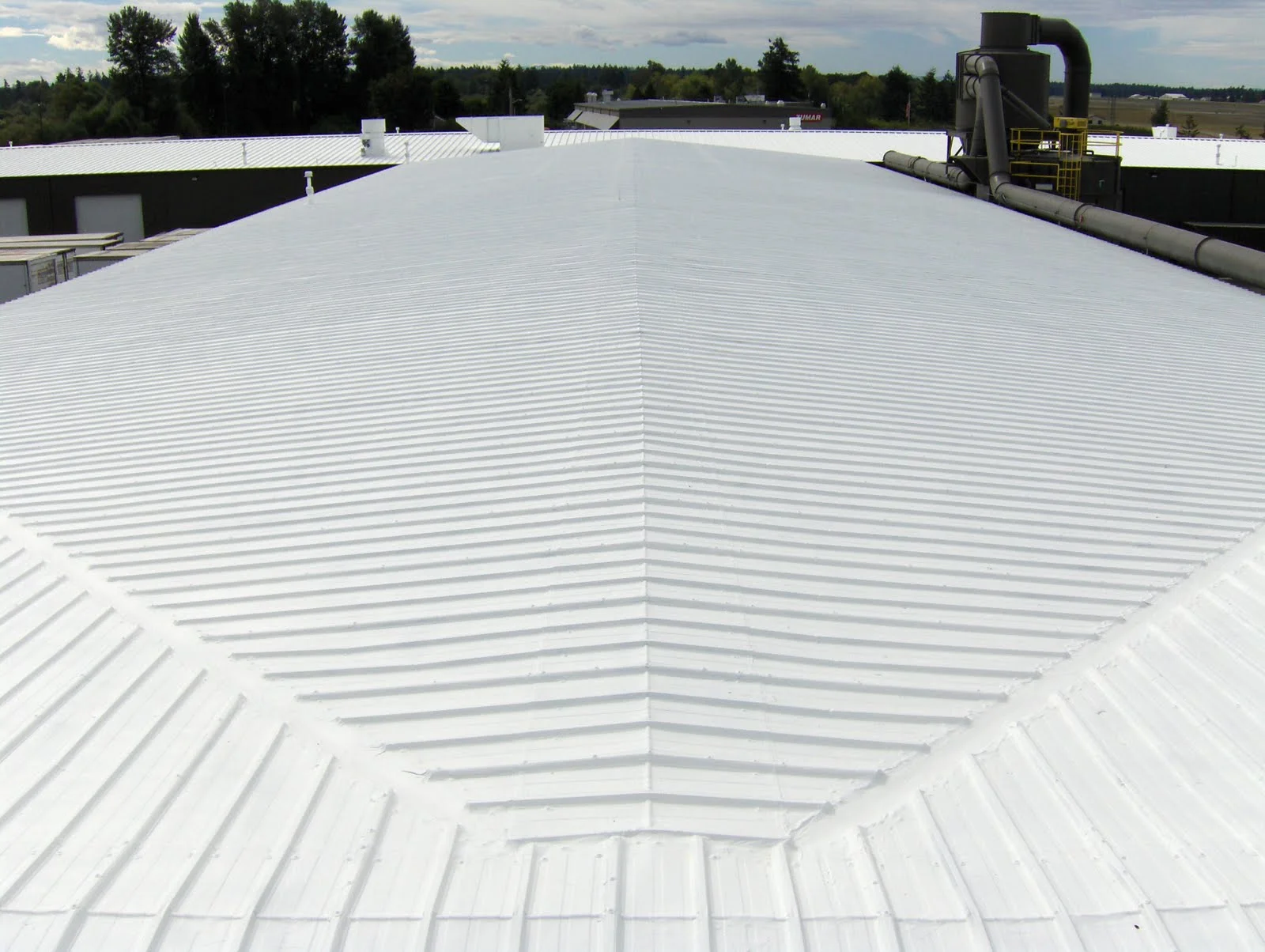 SRC Roof.jpg