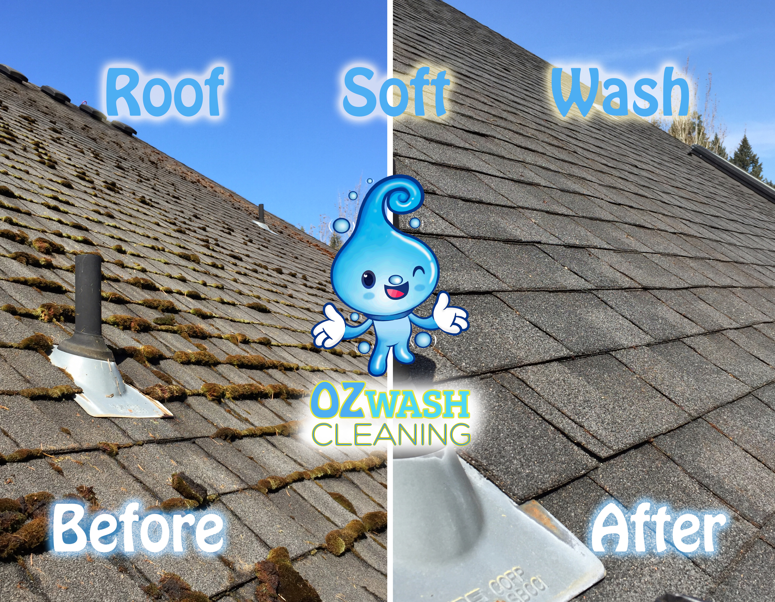 softwash13.jpg