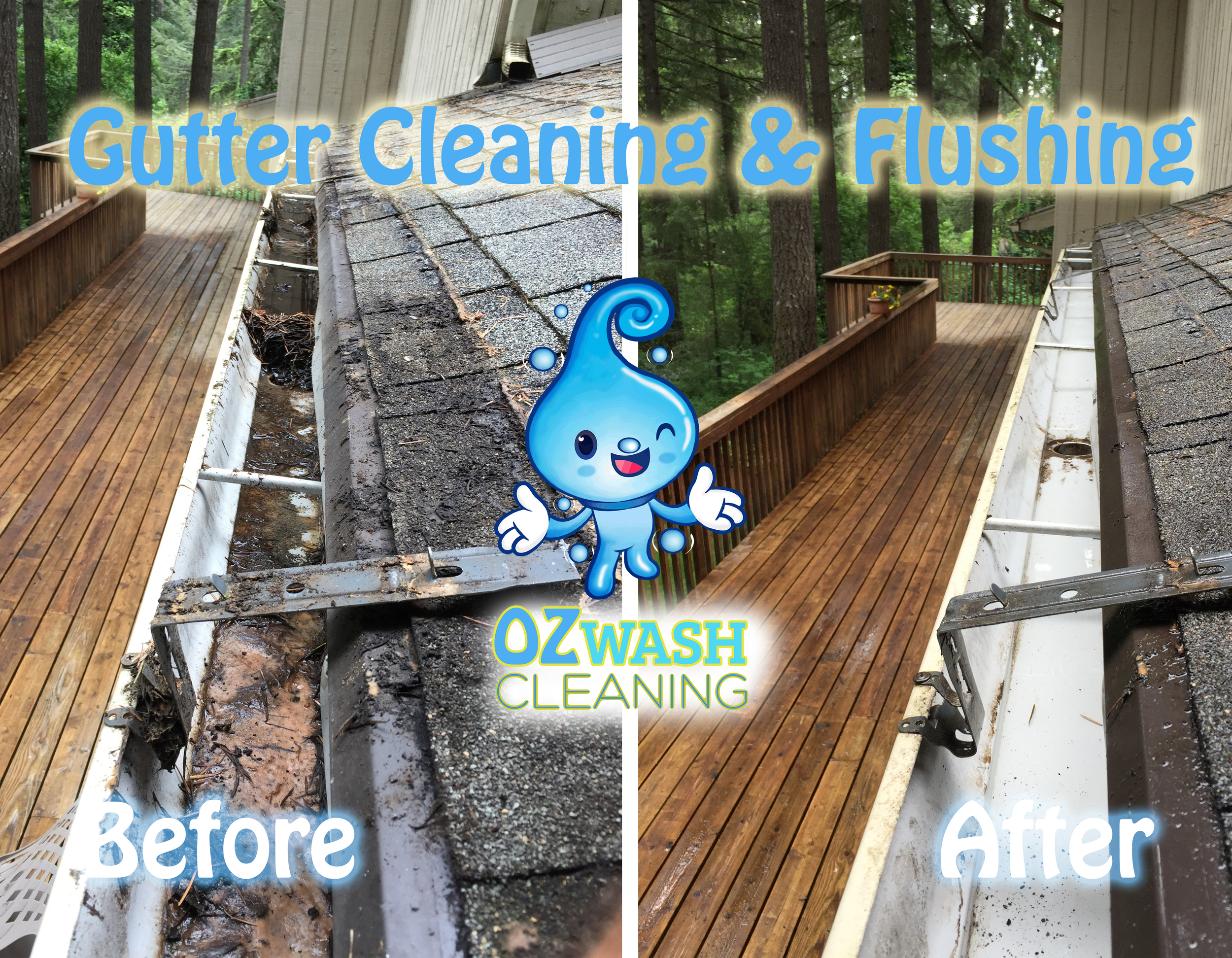 guttercleaning8.jpg