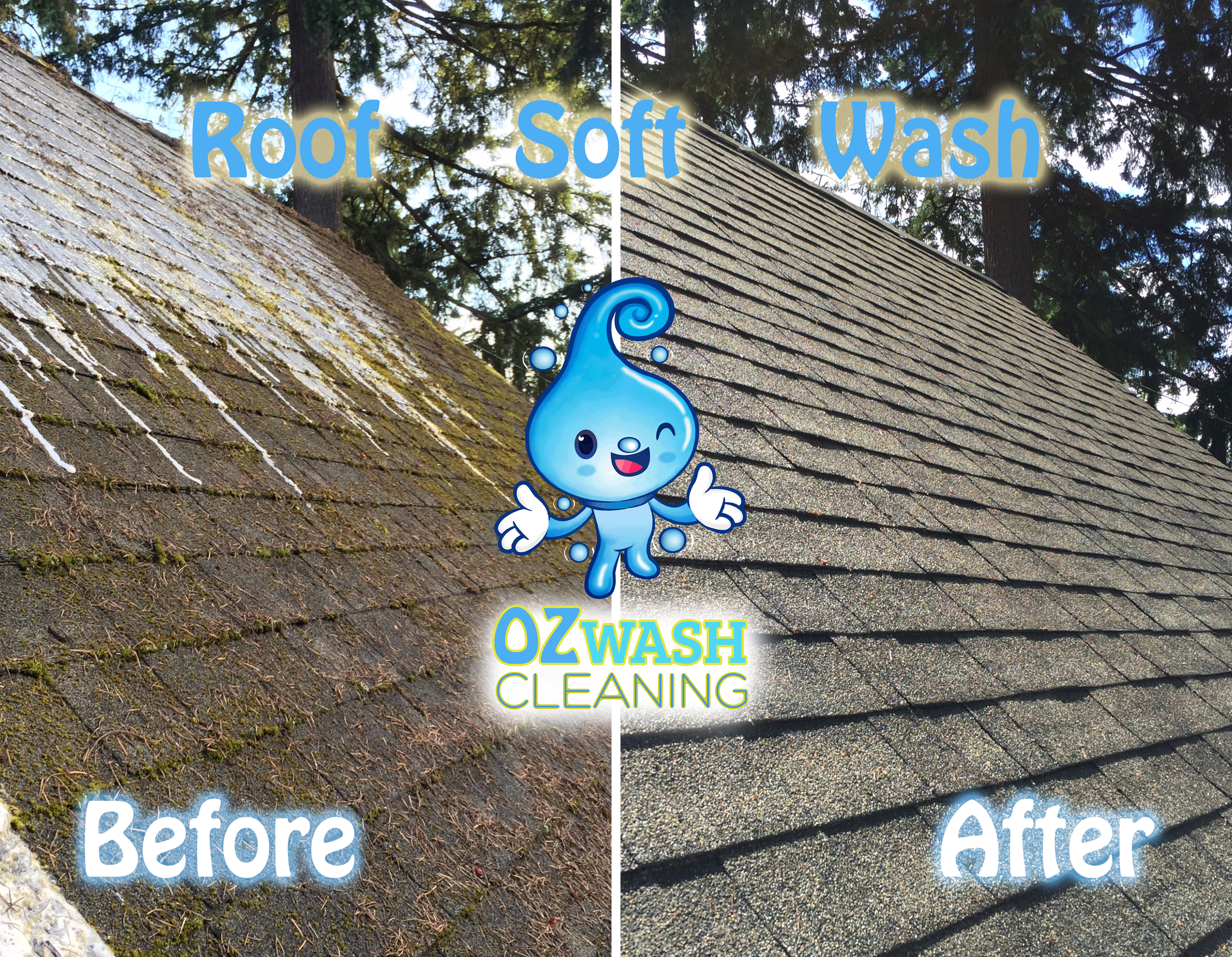 roofsoftwash10.jpg