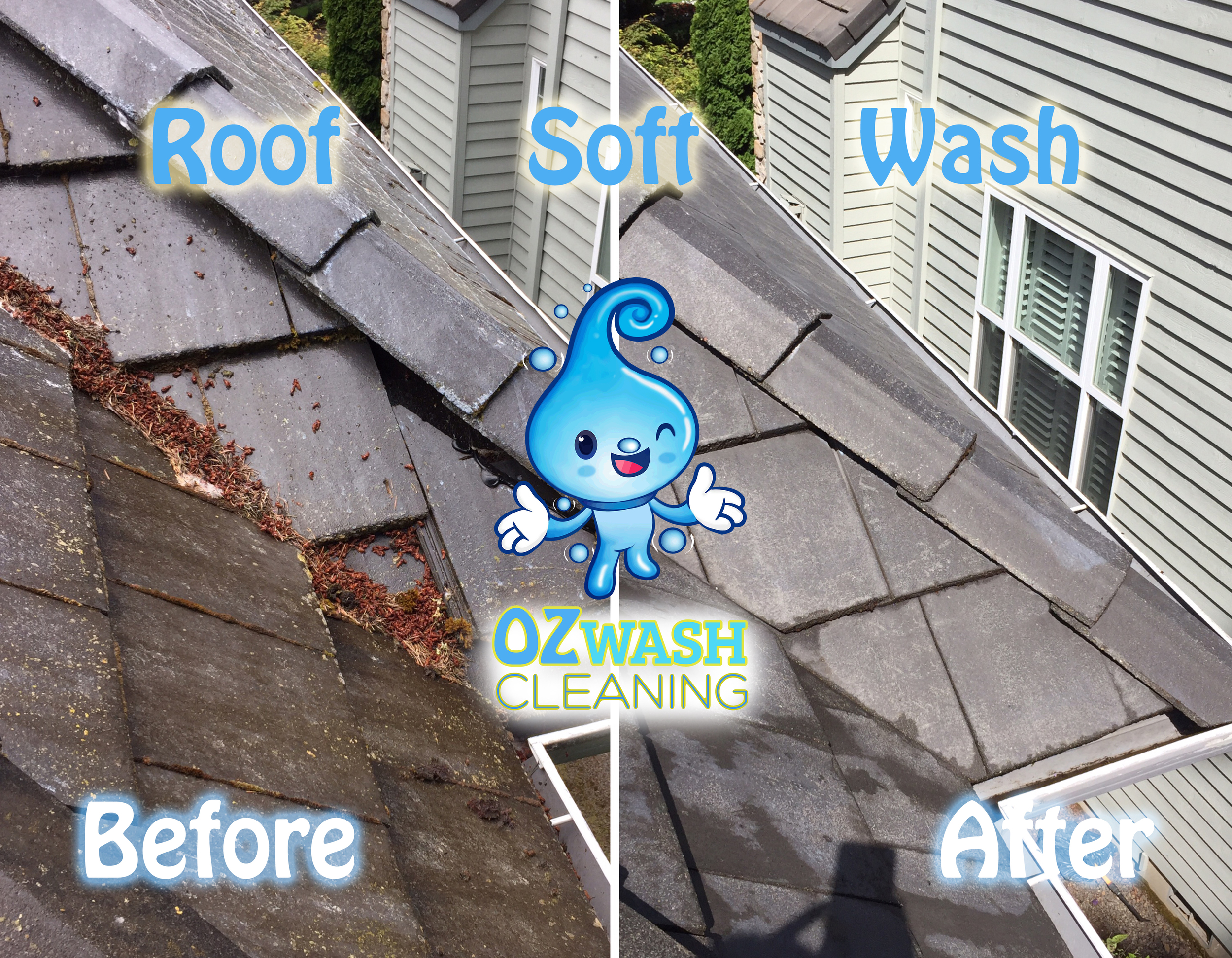 roofsoftwash14.jpg