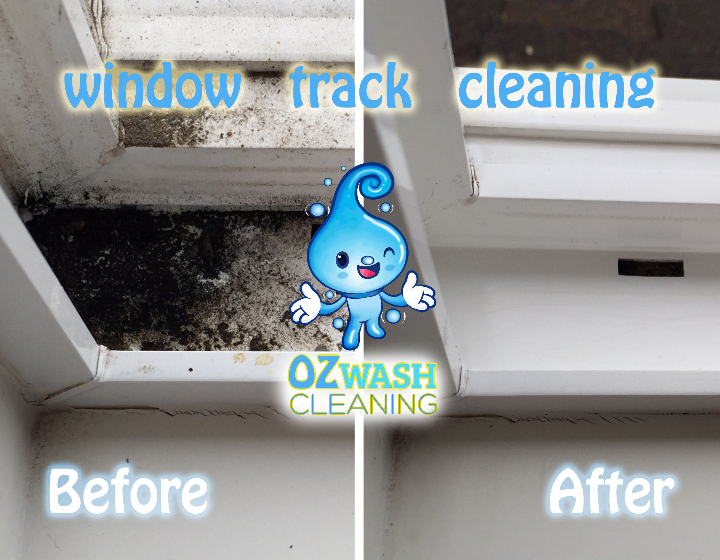 windowcleaning11.jpg