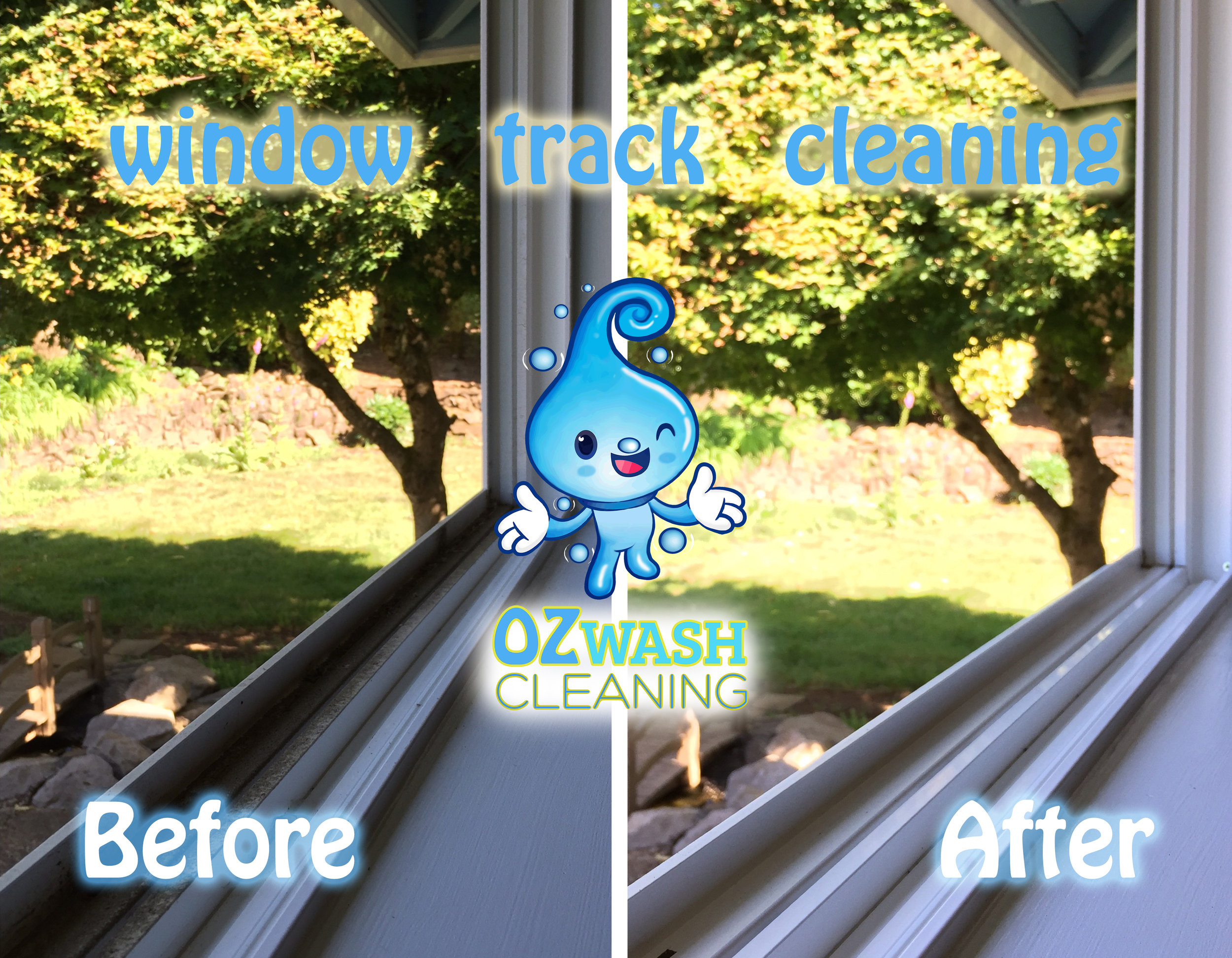 windowcleaning10.jpg