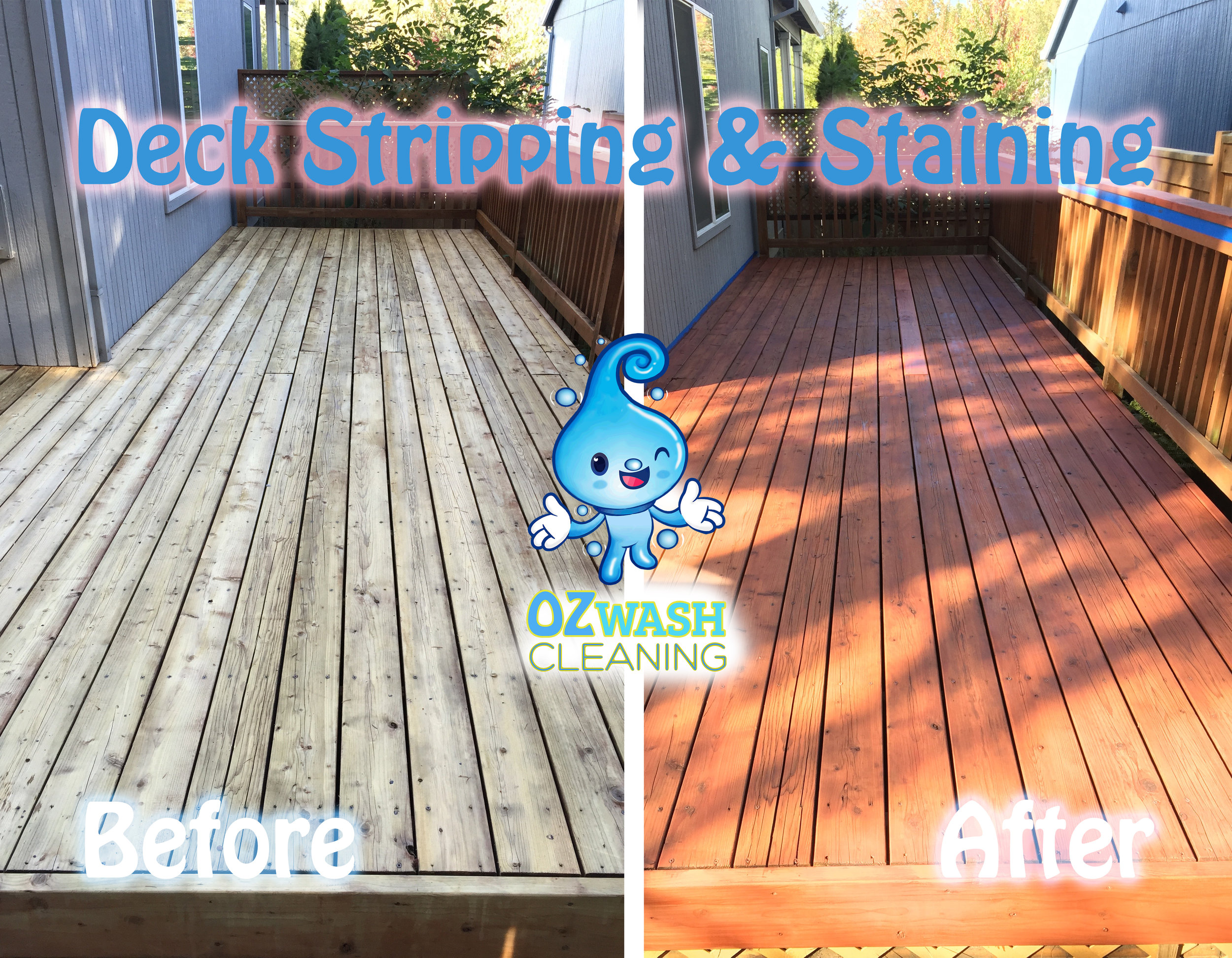 DeckReviving&Staining9.jpg