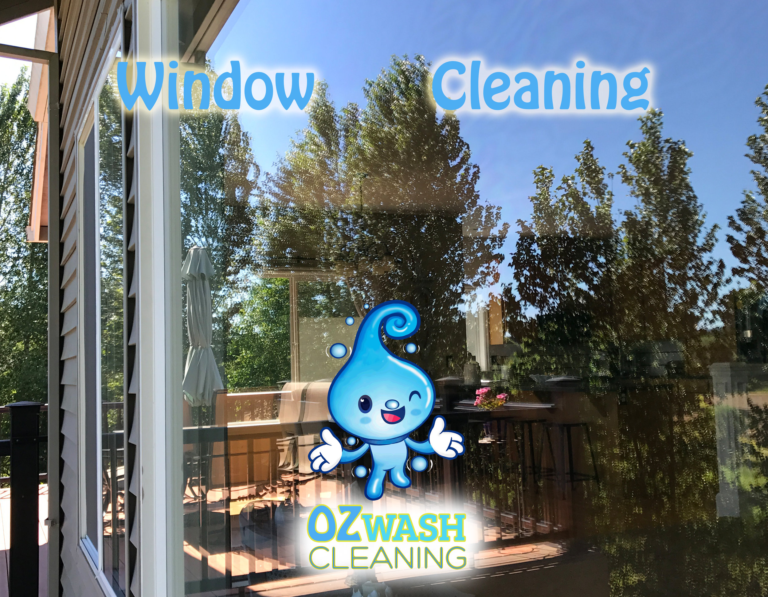 WindowCleaning9.jpg