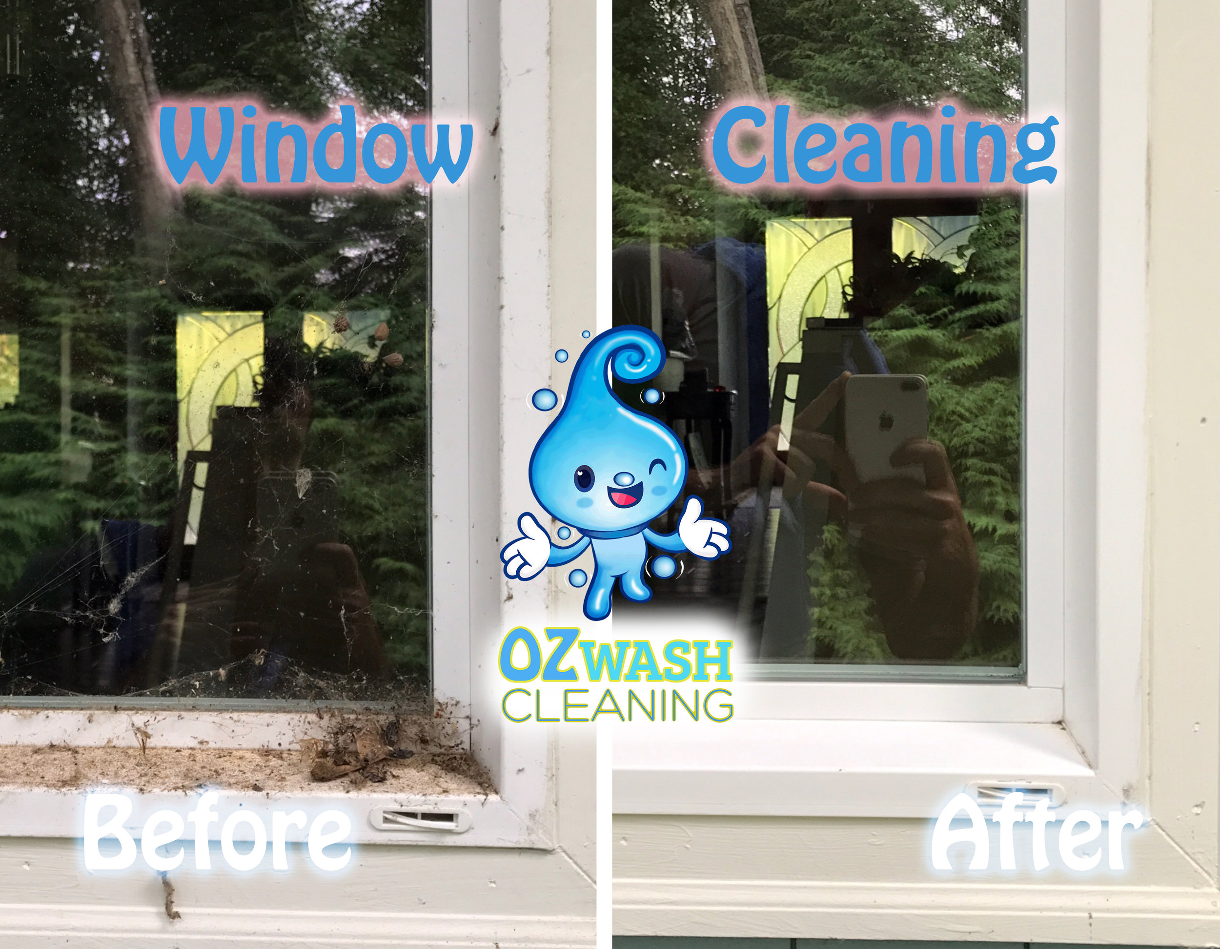 WindowCleaning7.jpg