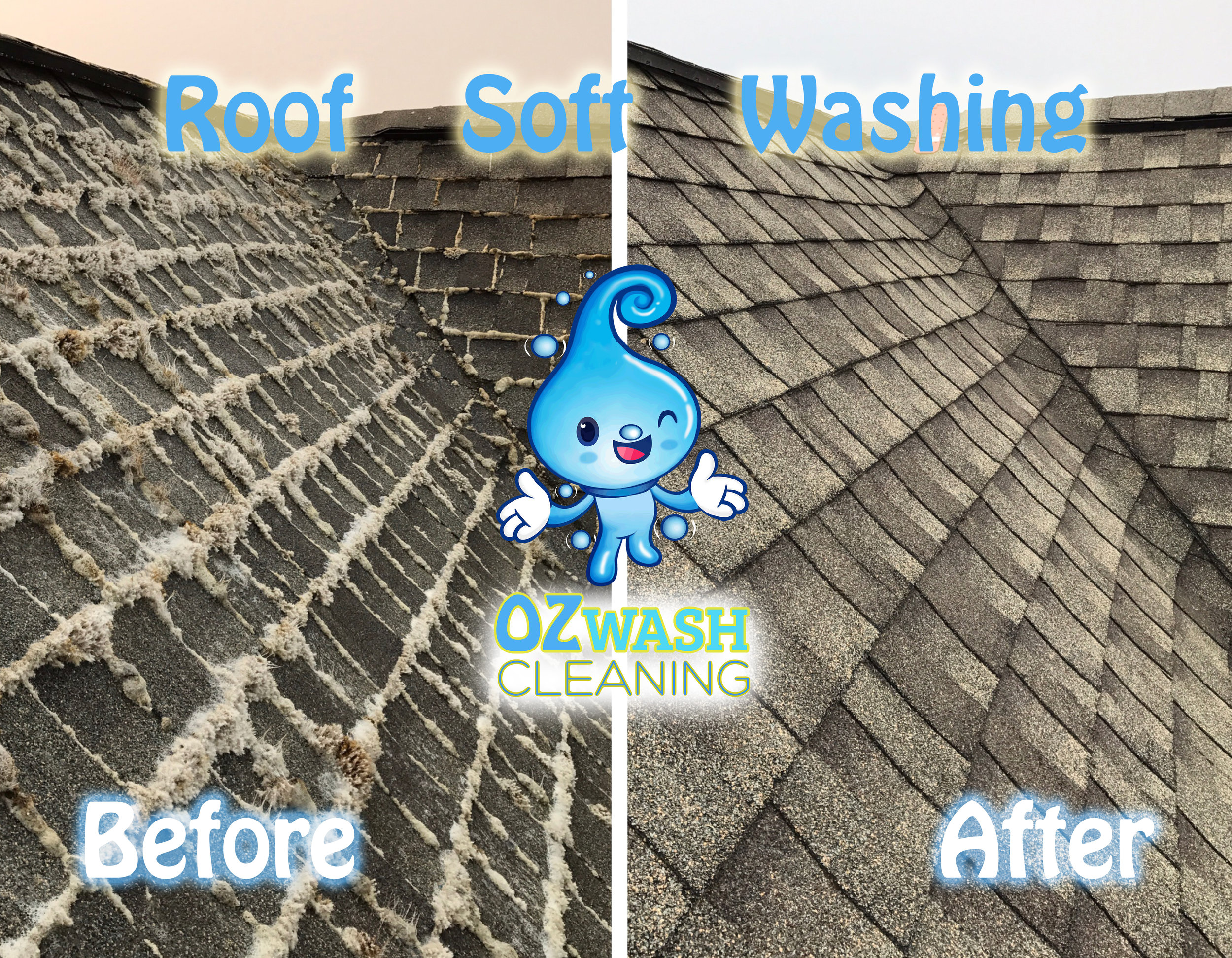 RoofSoftWash1.jpg
