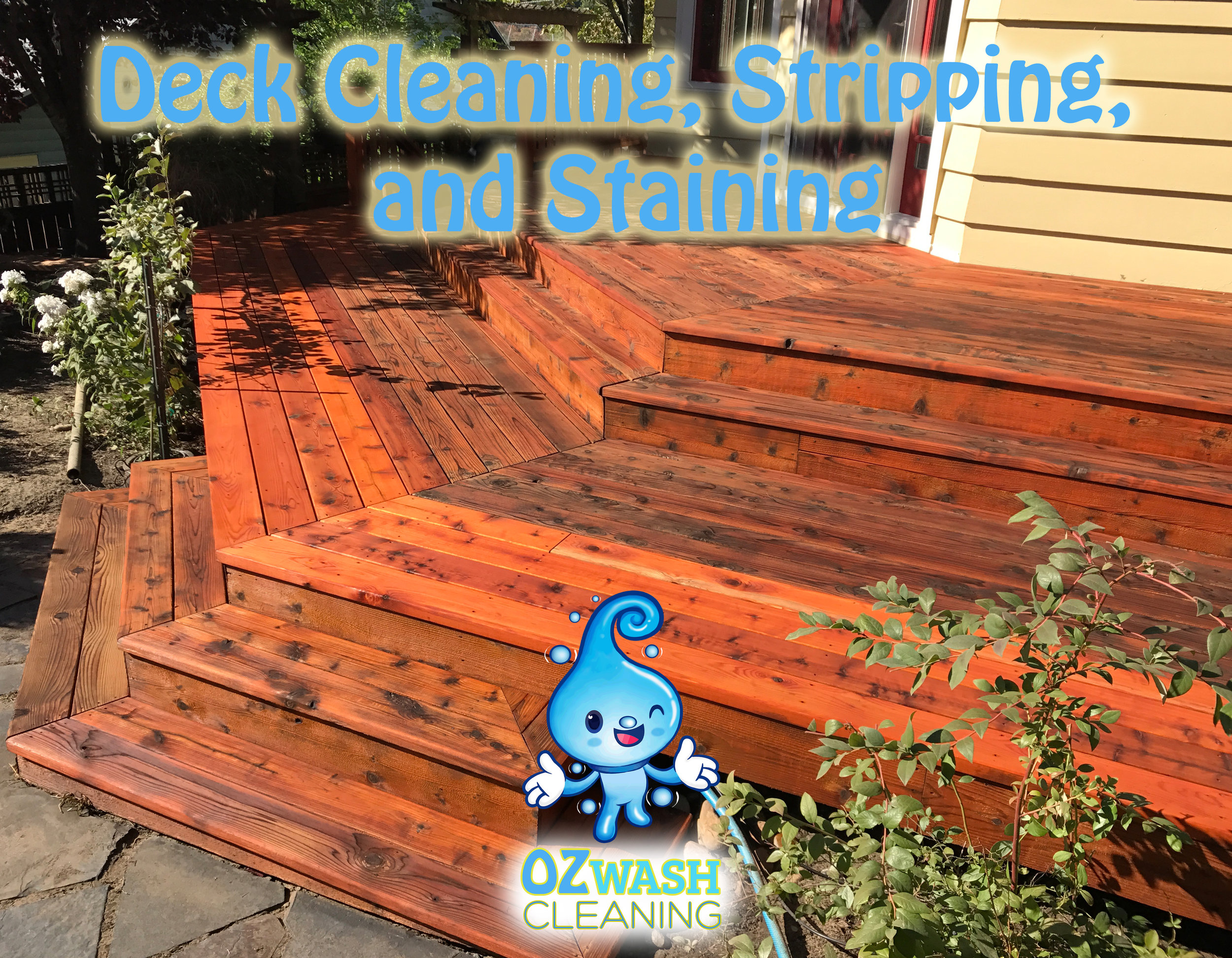 DeckStaining5.jpg