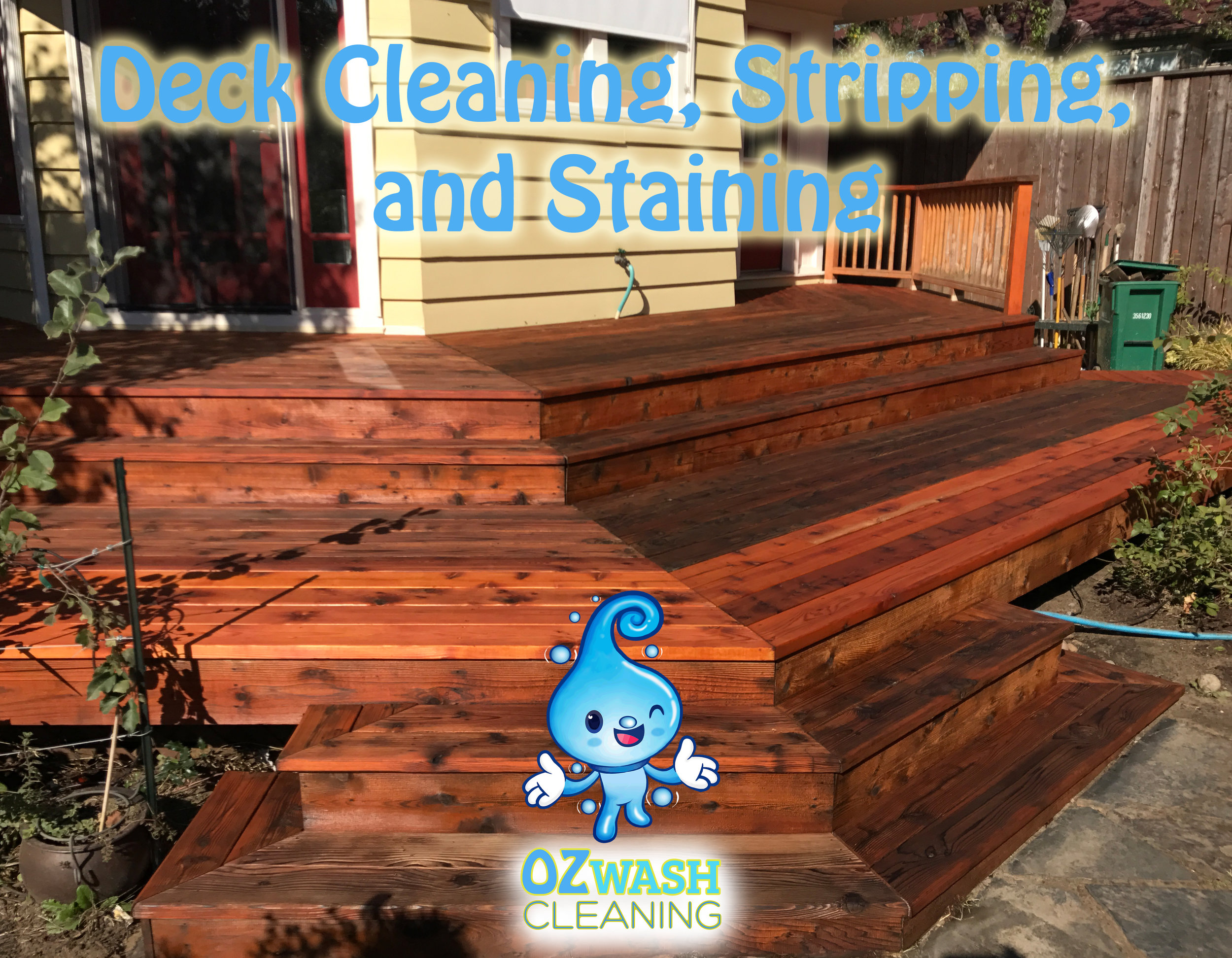 DeckStaining4.jpg