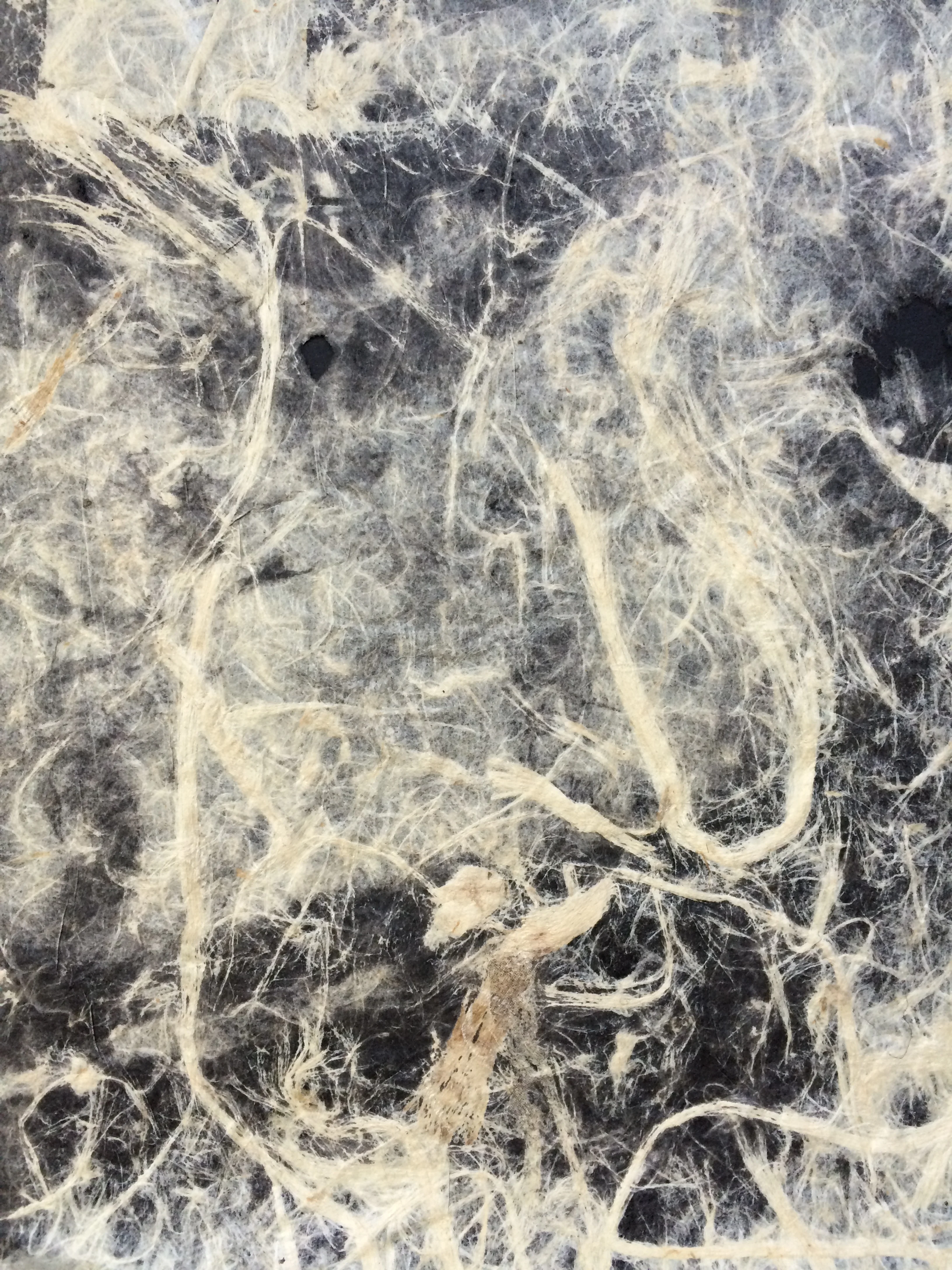  handmade bamboo paper / mono print 