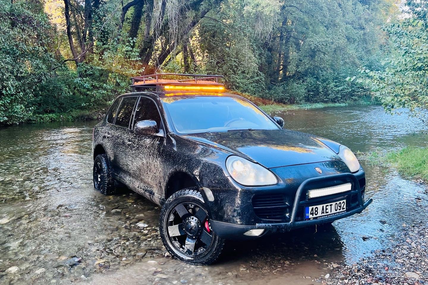 CAYENNE SAFARI (EVERYDAY) — Animal's Excursions