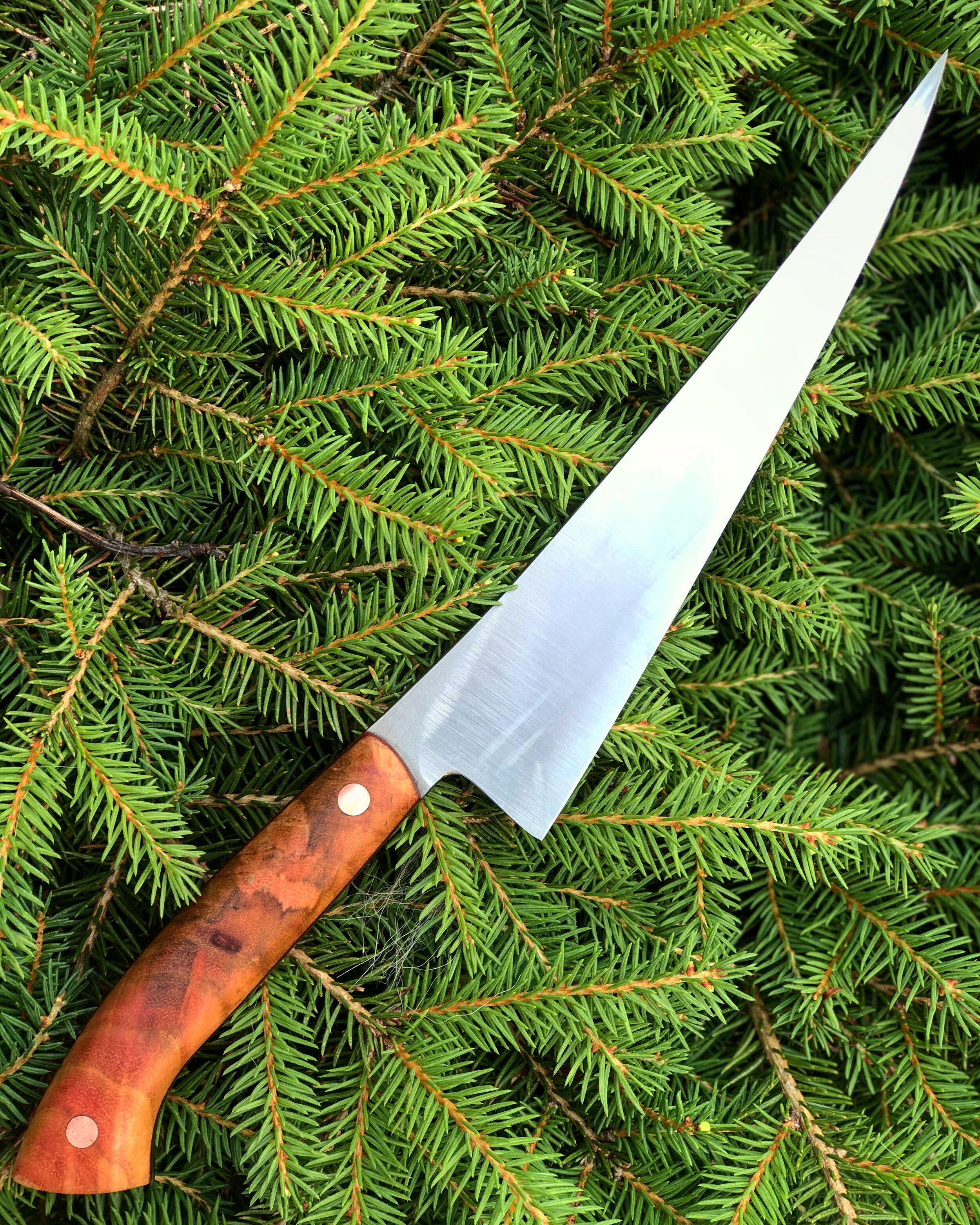 4AFEEA08-06FA-4BD2-9A7D-0A37E19D7F40