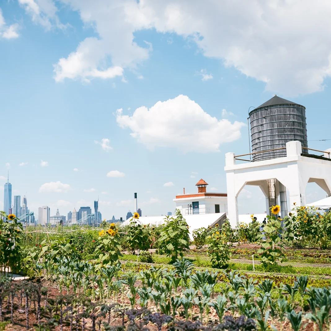 Venue: The Brooklyn Grange