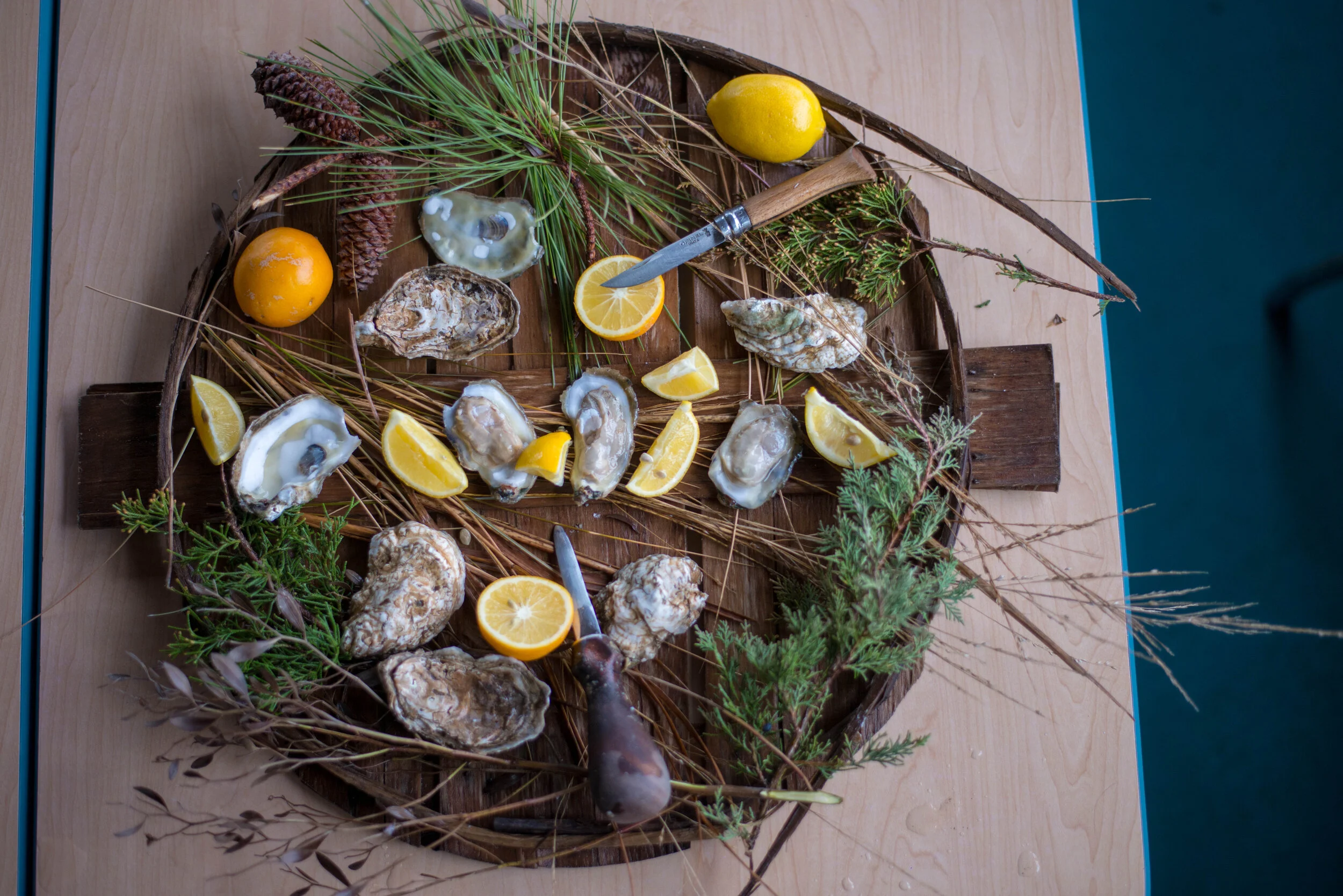TTO_Oysters_Promo_01.jpg