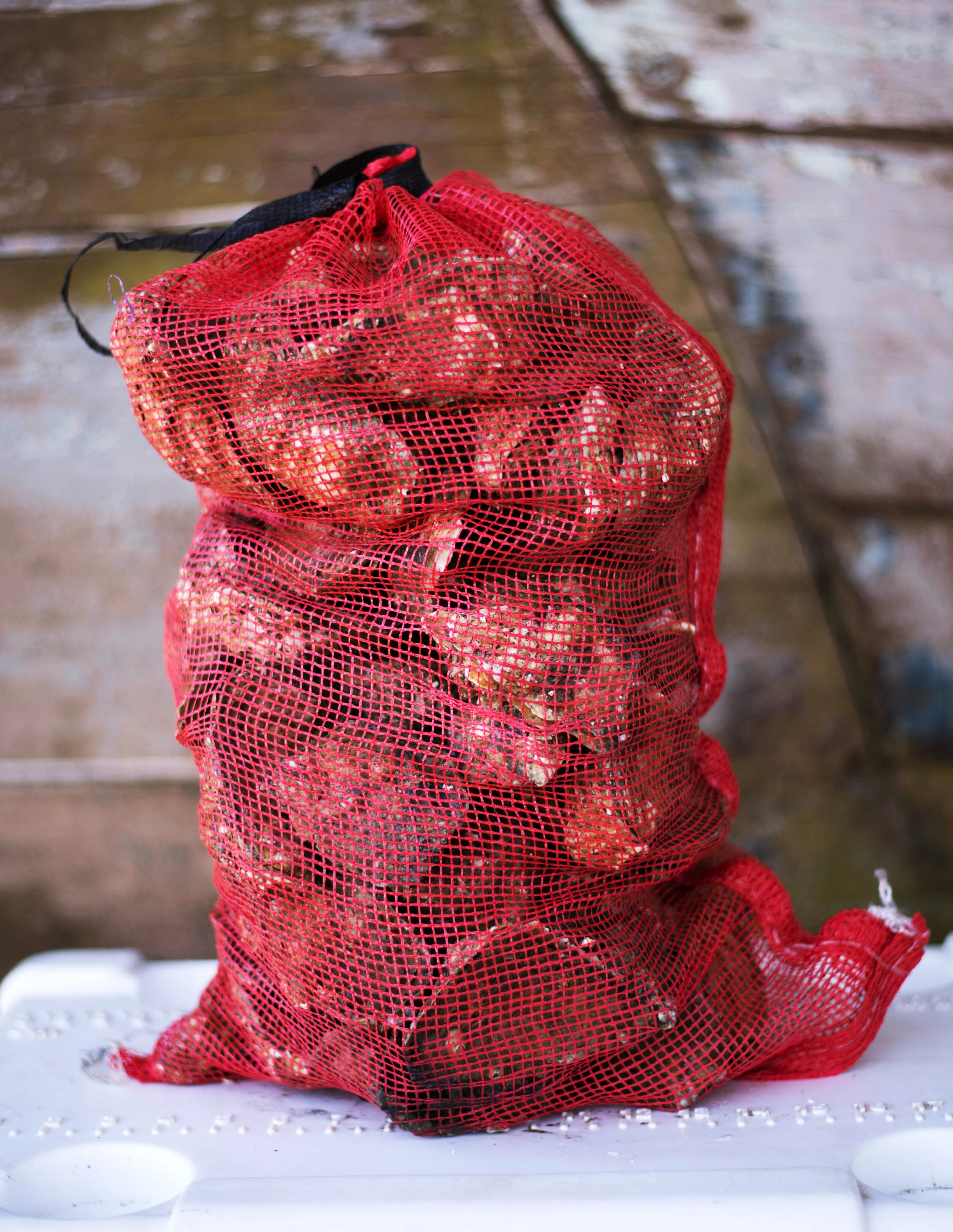 TTO_Oysters_100ct.jpg