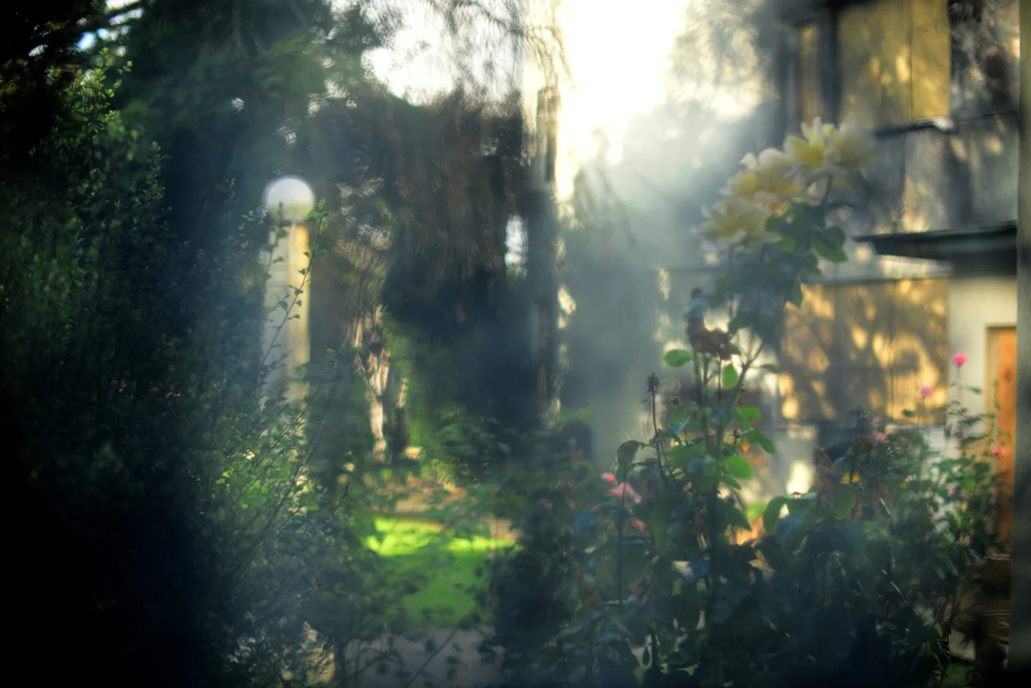 The view from his kitchen window.