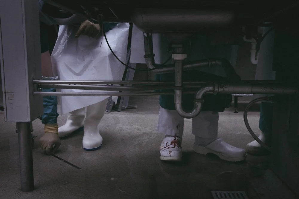  Það eru tilfelli sem hann getur ekki sinnt. Hann getur til að mynda ekki krufið einhvern sem hann þekkir vel. Viðfangið yrði þá aftur að líki og lík að manneskju. „Þá væri það í forgrunni að þetta væri manneskja, að þetta væri ekta einhvern veginn. 