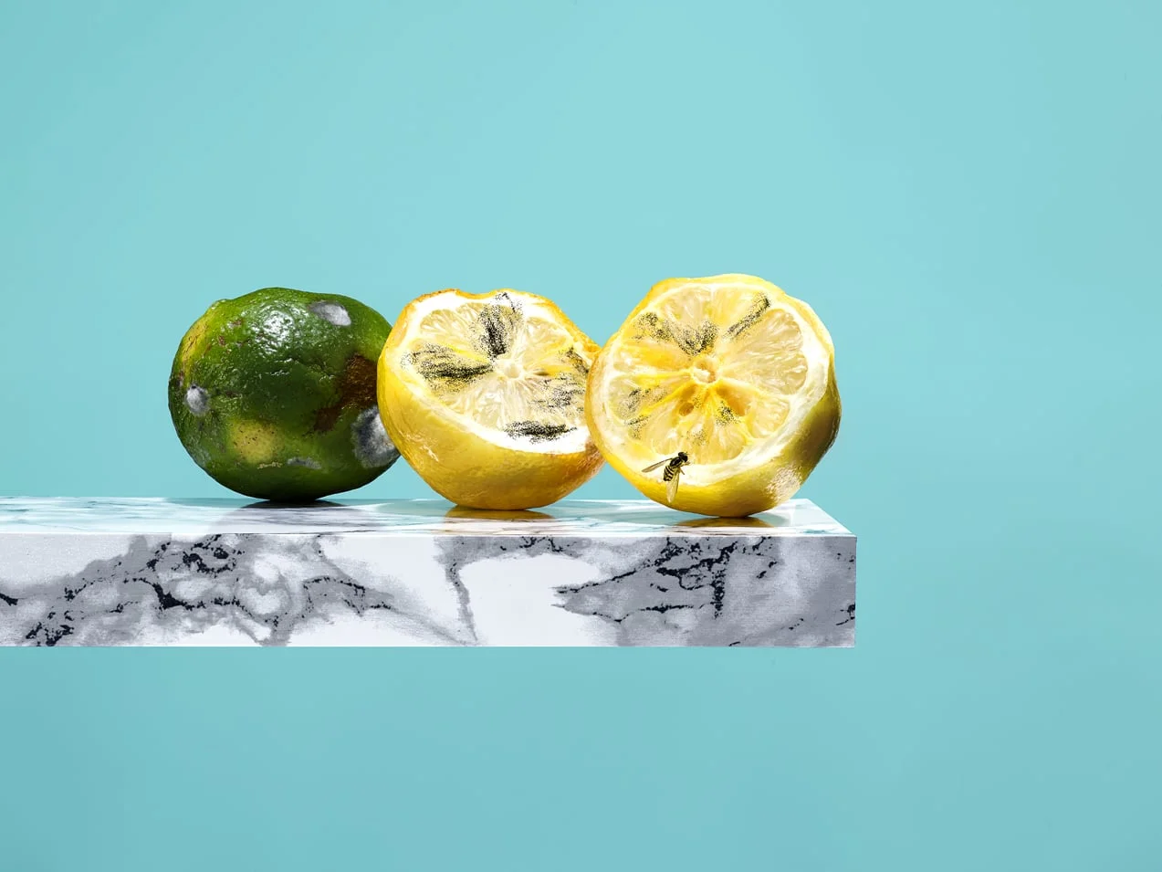 Rotten Citrus stacked workingupdate final printable.jpg