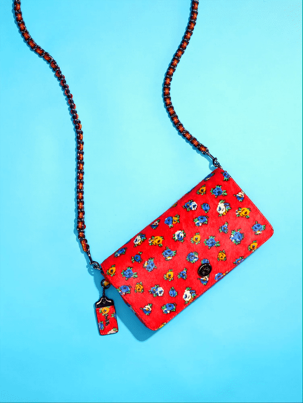 coach bag.gif