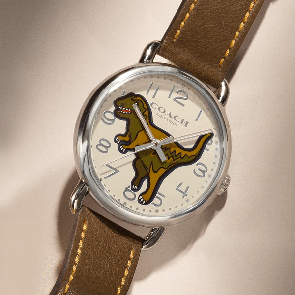 coach watch1.gif