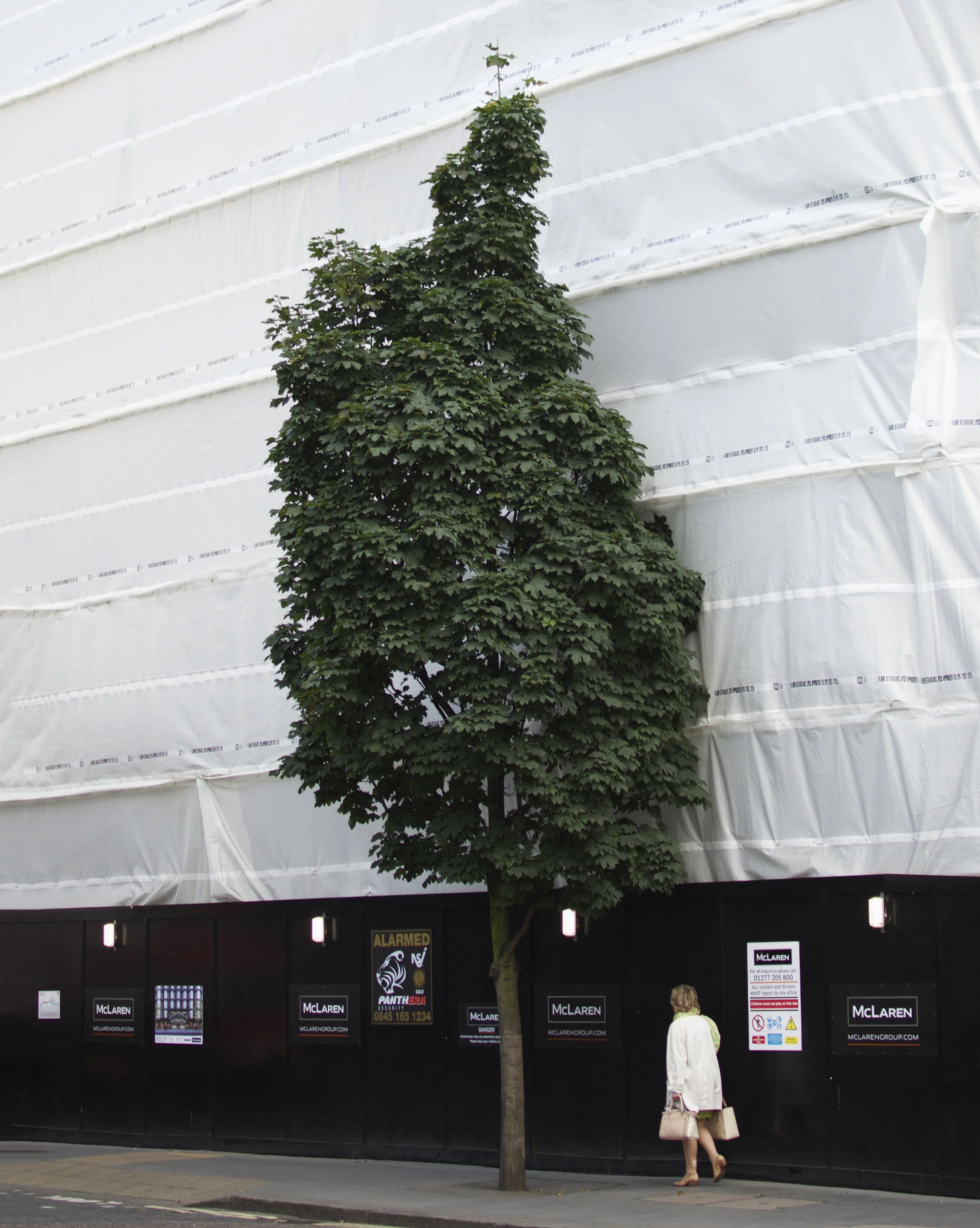 London_Woman_Tree.jpg