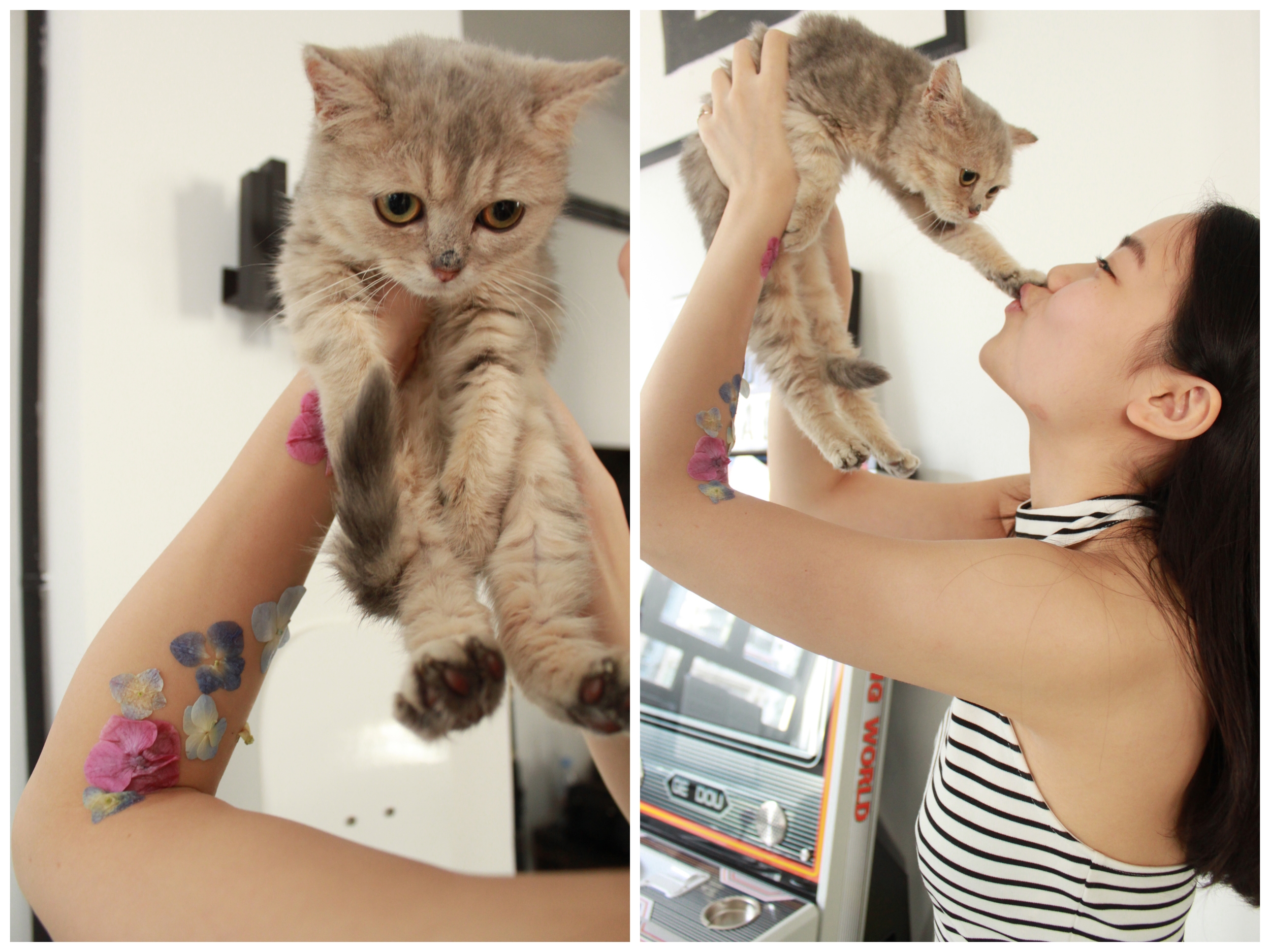 Feat. DeaDeaCat